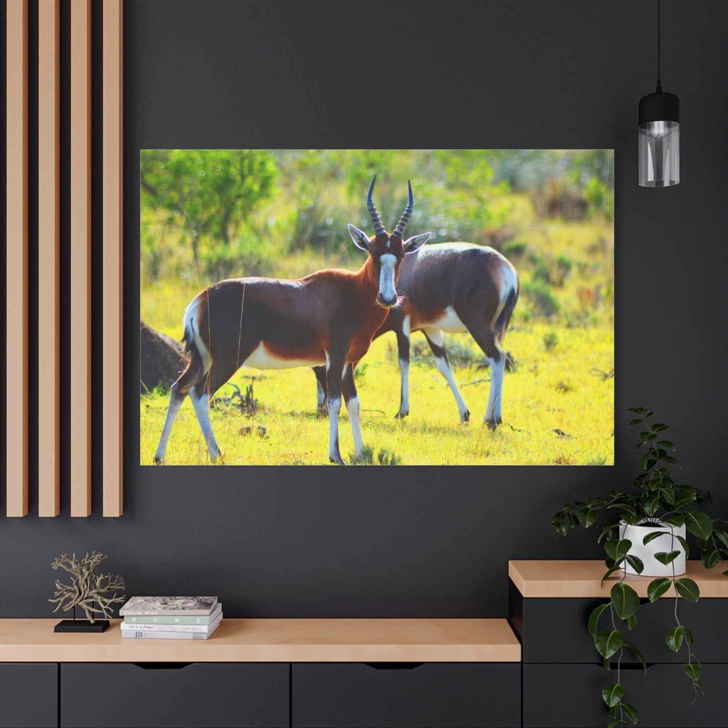 Blesbok in Africa - Canvas Print