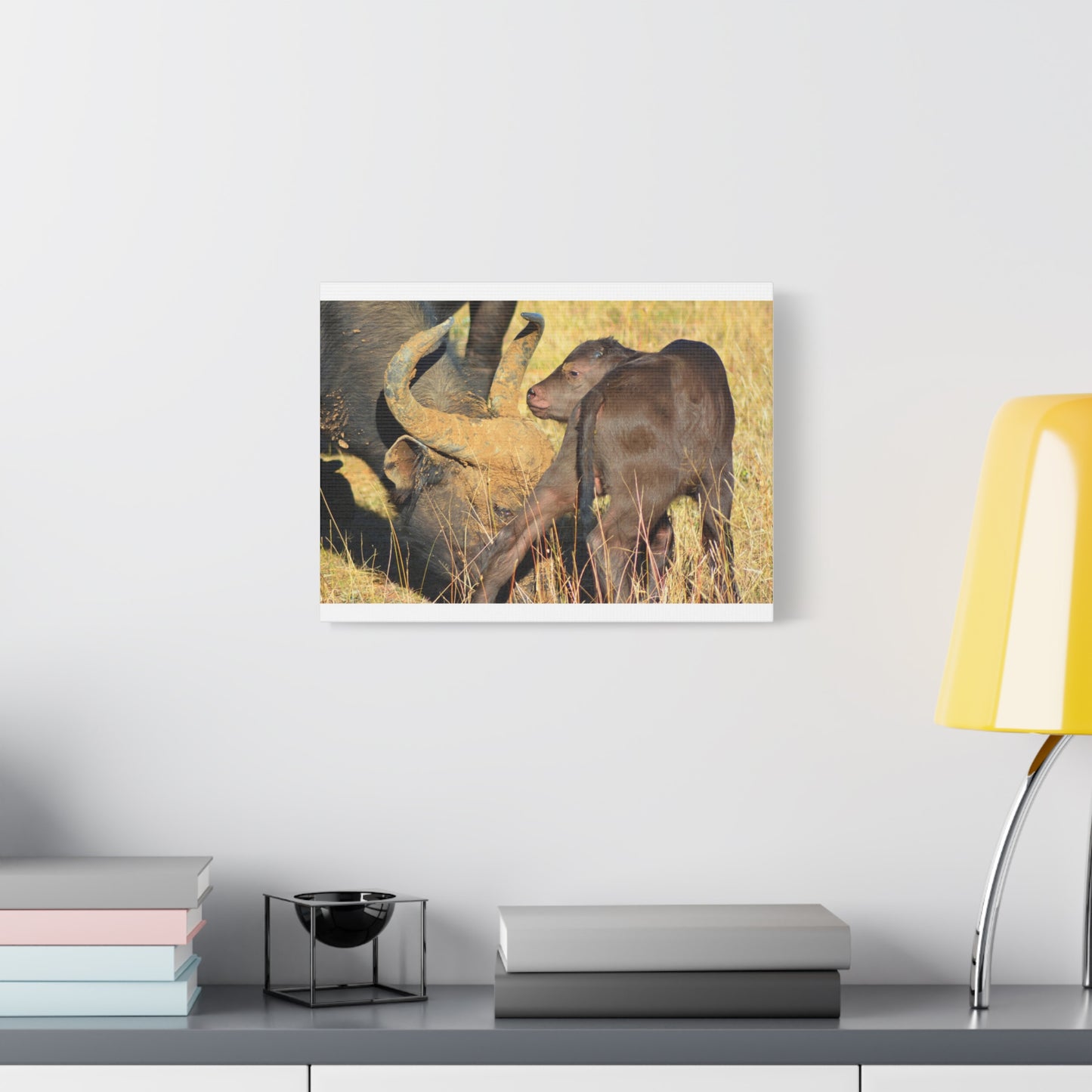 Cape Buffalo Tends to Calf