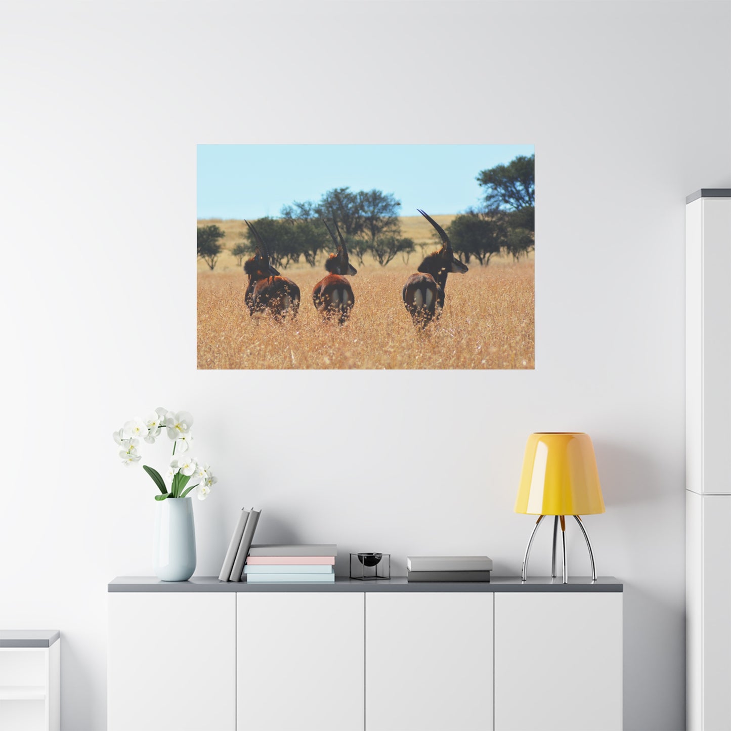 Sable Trio in Africa Canvas Print
