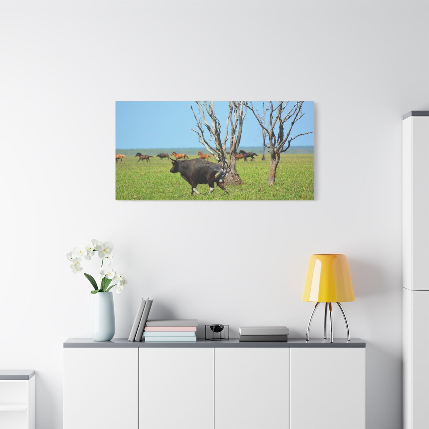 Australia Banteng - Canvas Print