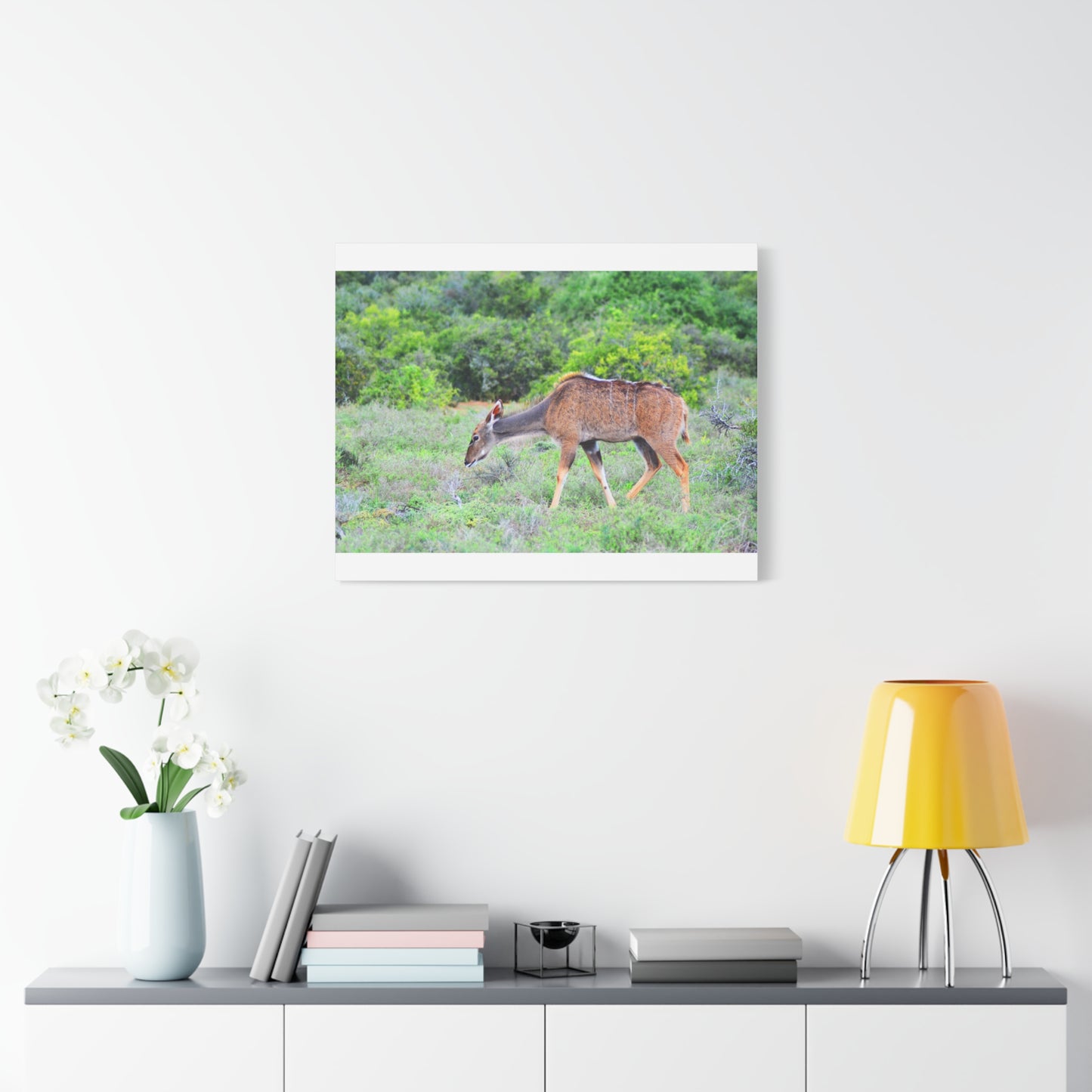 Africa Kudu Cow - Canvas Print