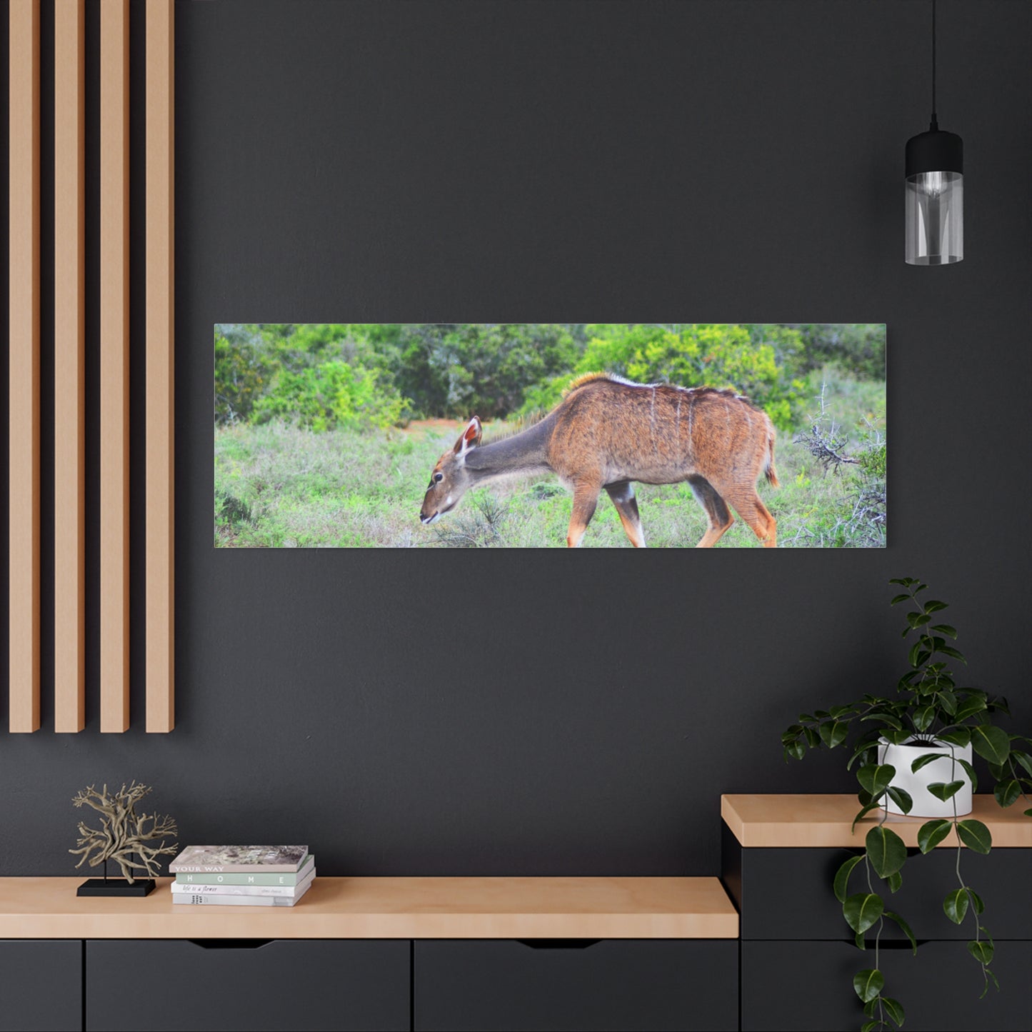Africa Kudu Cow - Canvas Print