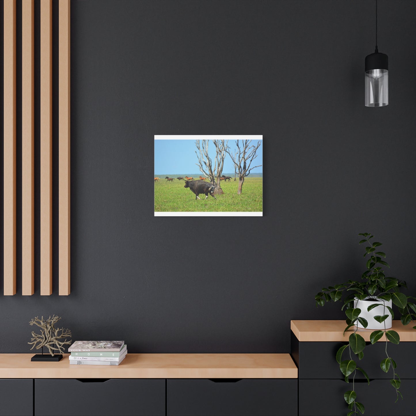 Australia Banteng - Canvas Print