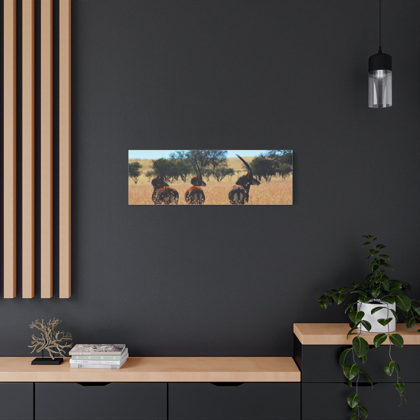 Sable Trio in Africa Canvas Print