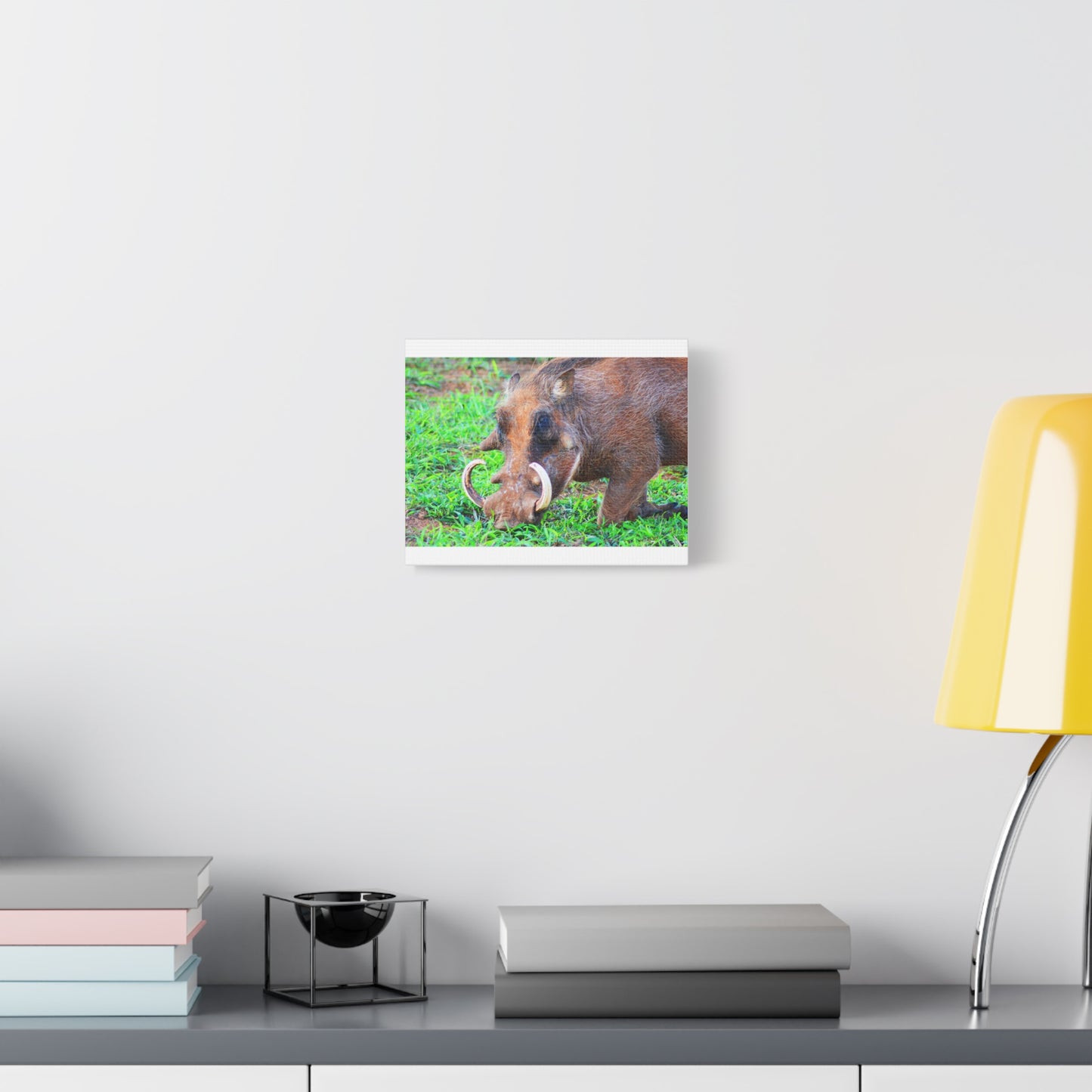 African Warthog Eating - Canvas Print