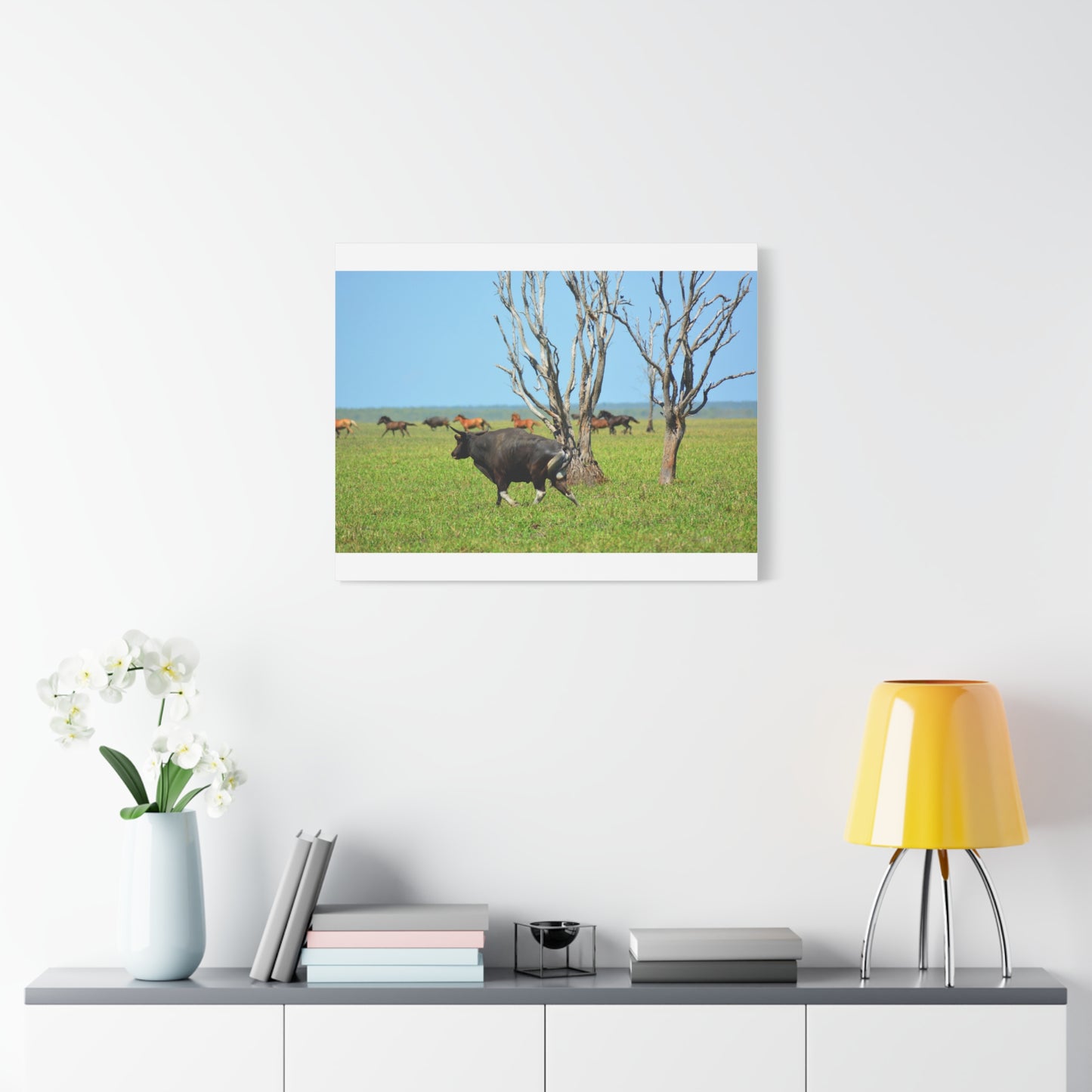 Australia Banteng - Canvas Print