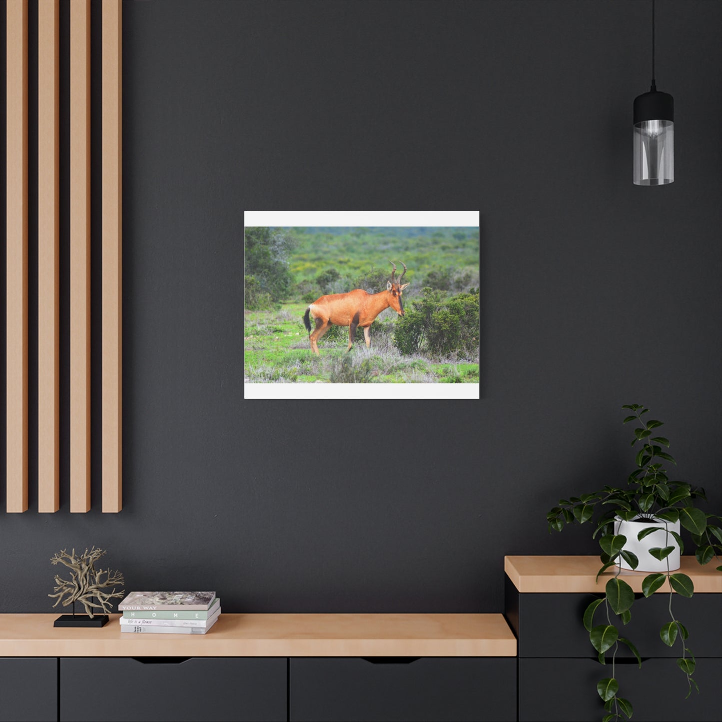 Africa Red Hartebeest - Canvas Print