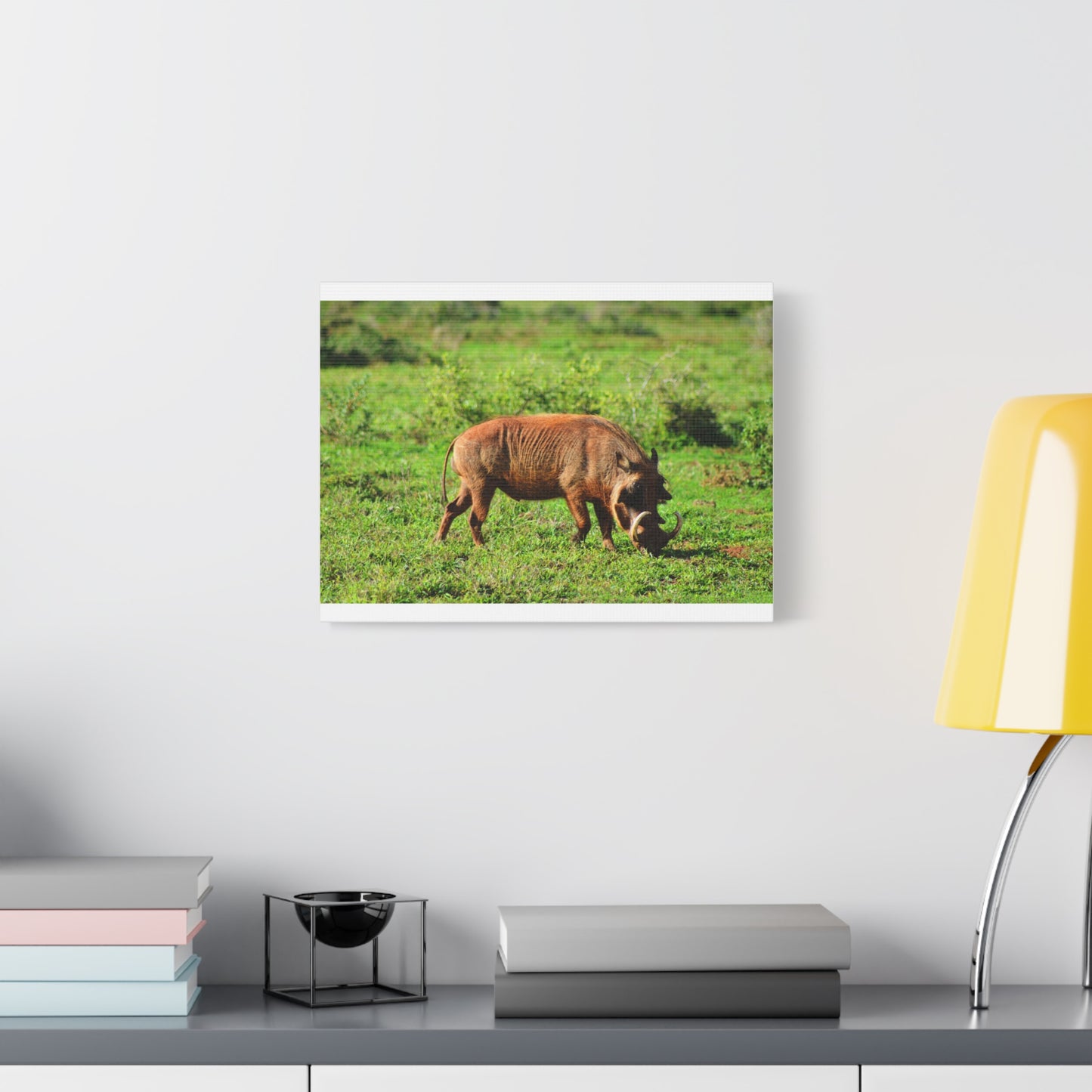African Warthog - Canvas Print
