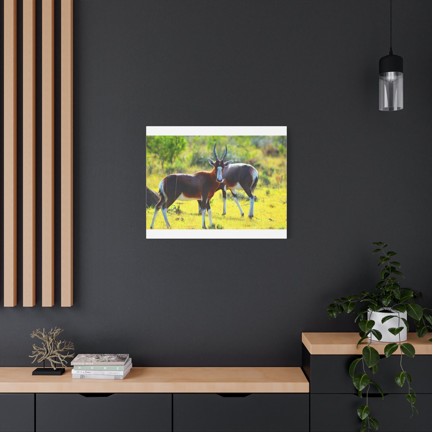 Blesbok in Africa - Canvas Print