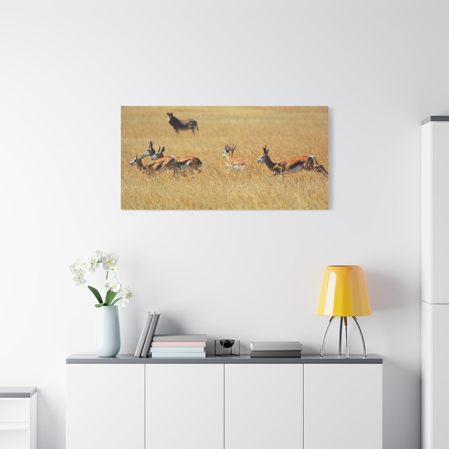 Springbok Herd in African Savannah