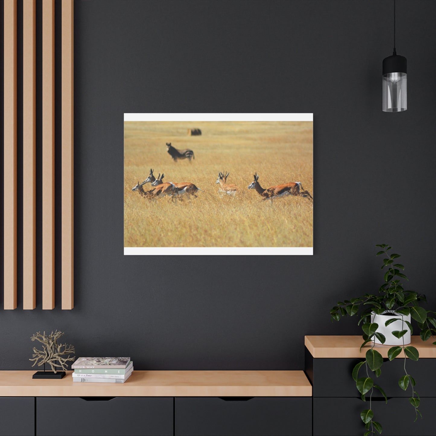 Springbok Herd in African Savannah