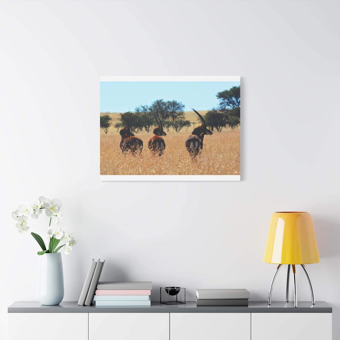 Sable Trio in Africa Canvas Print