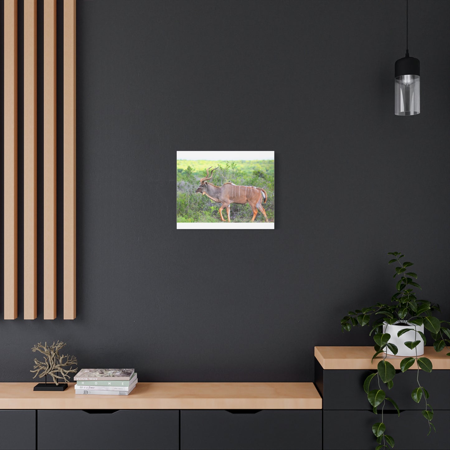 Africa Kudu Bull - Canvas Print