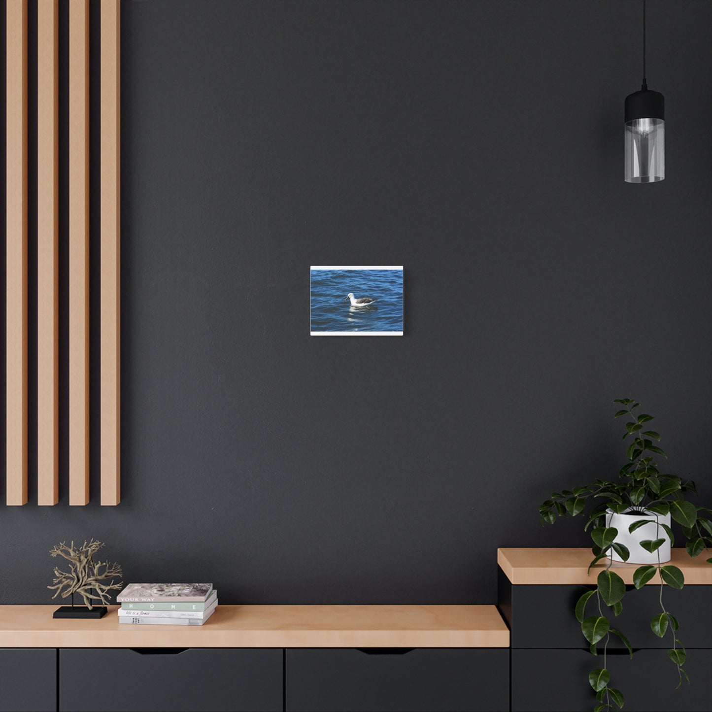 Albatross Canvas Print Sea Bird