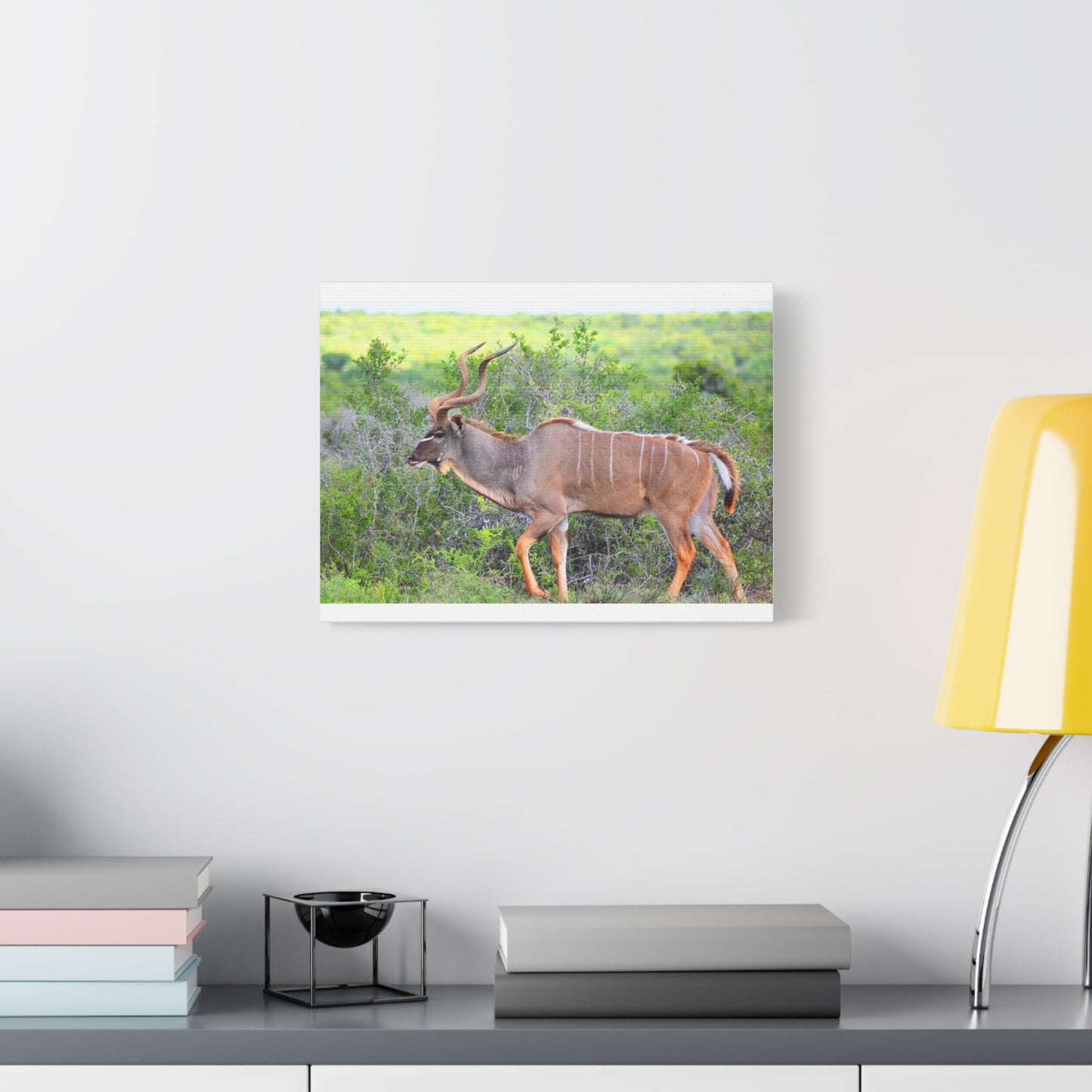 Africa Kudu Bull - Canvas Print