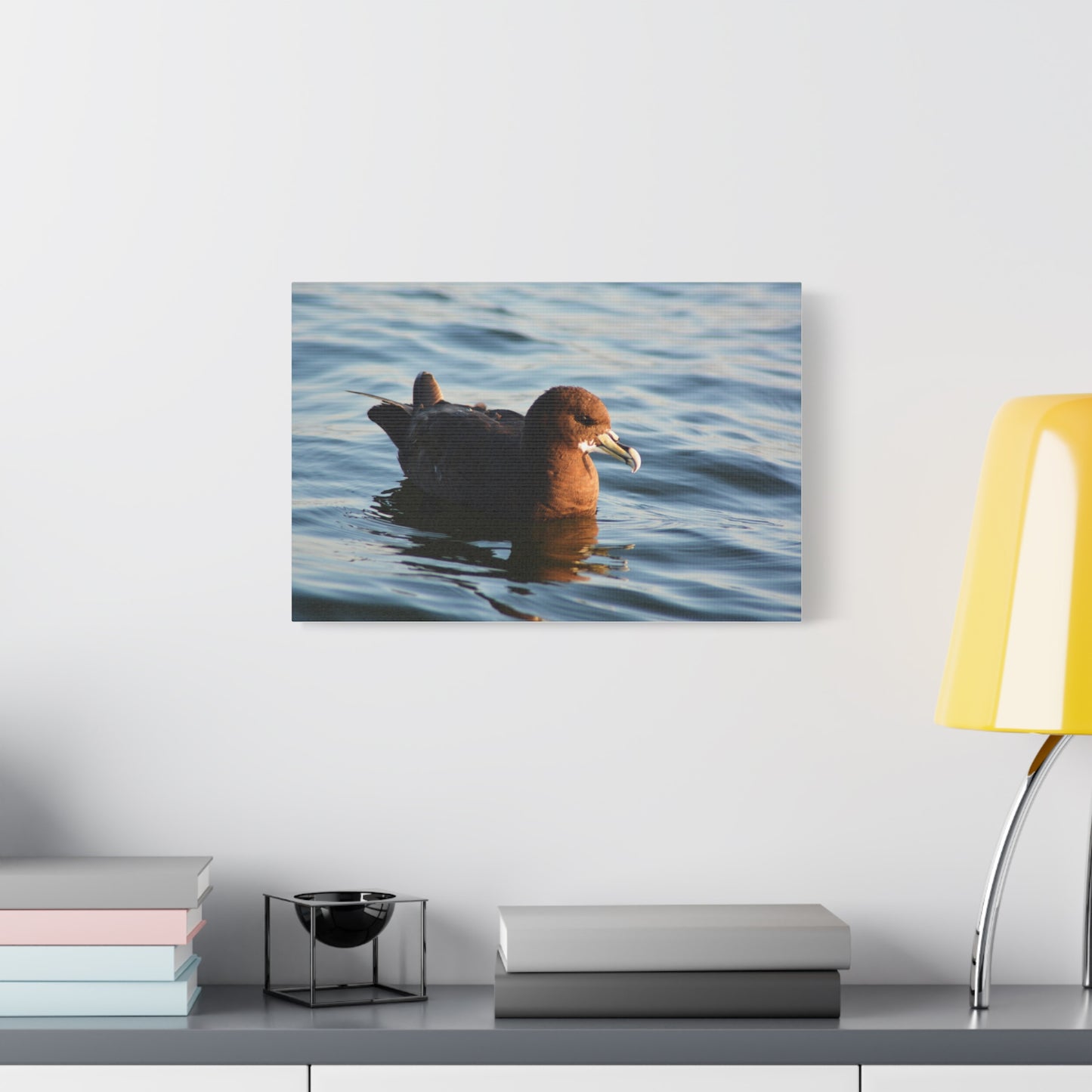 Bird Art Wall Decor, Coastal Wall Art, Ocean Decor, Nature Photography, Sea Bird Print