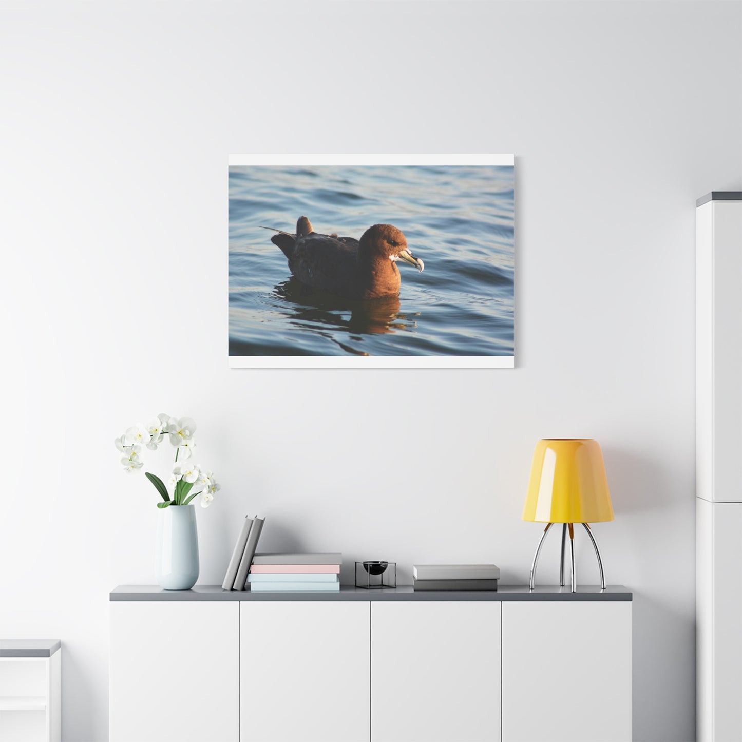 Bird Art Wall Decor, Coastal Wall Art, Ocean Decor, Nature Photography, Sea Bird Print