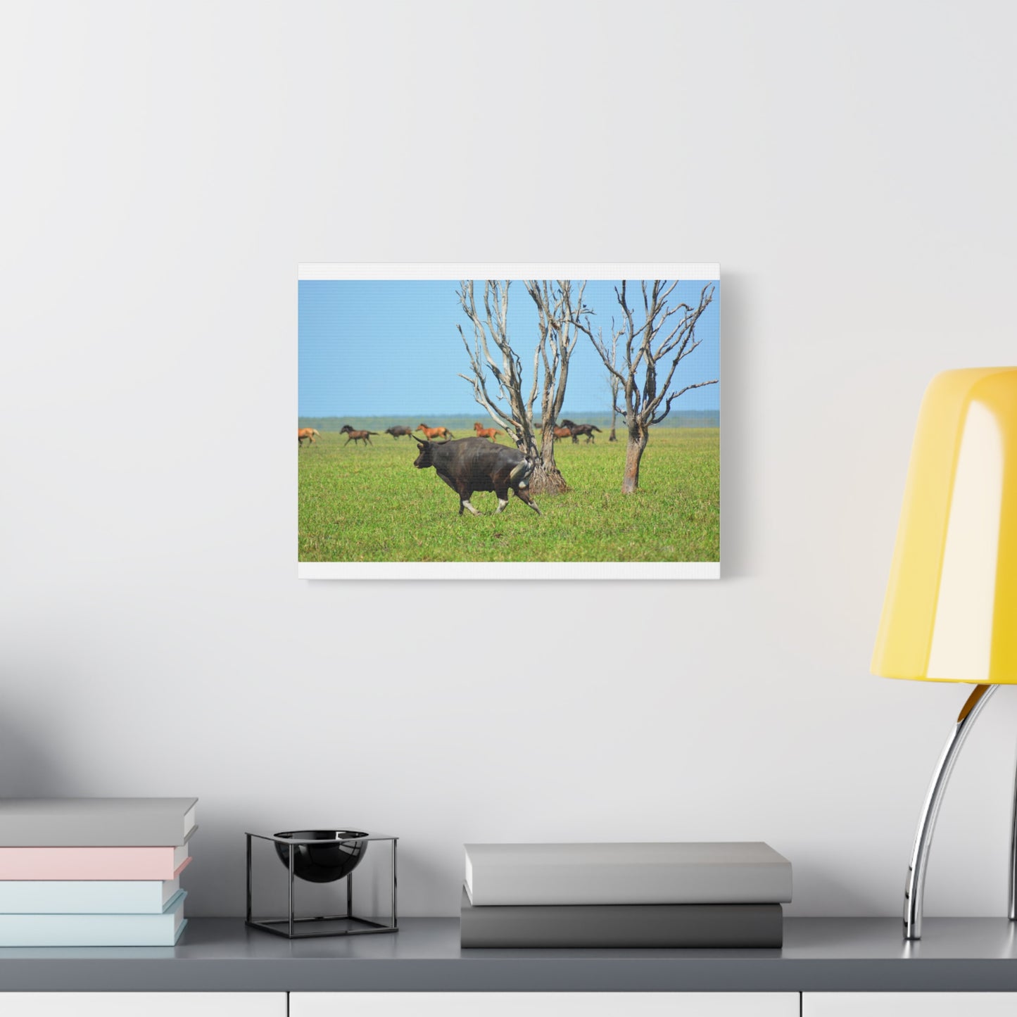 Australia Banteng - Canvas Print