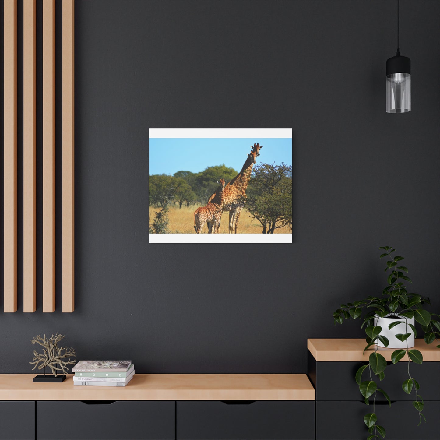 Giraffe Family in Africa