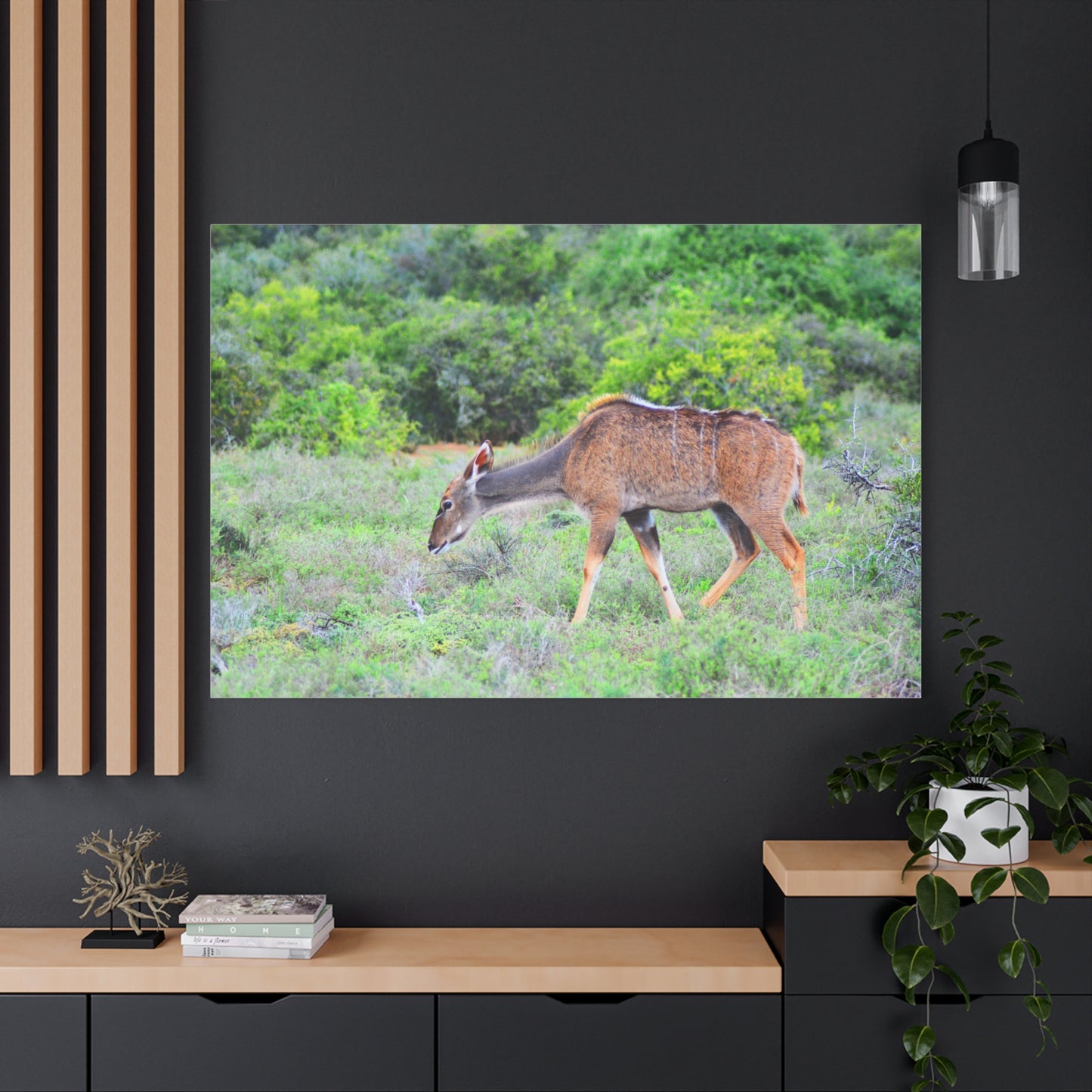 Africa Kudu Cow - Canvas Print