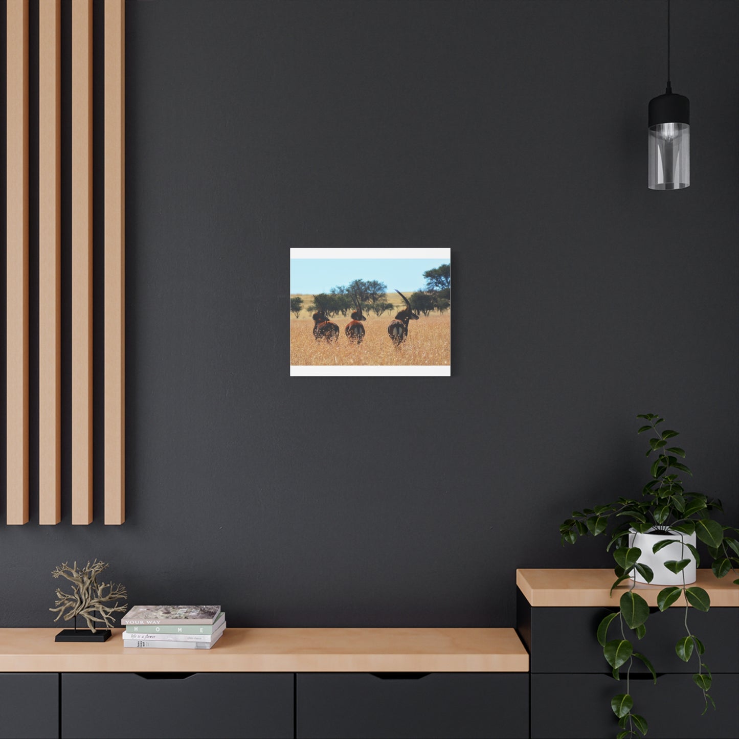 Sable Trio in Africa Canvas Print