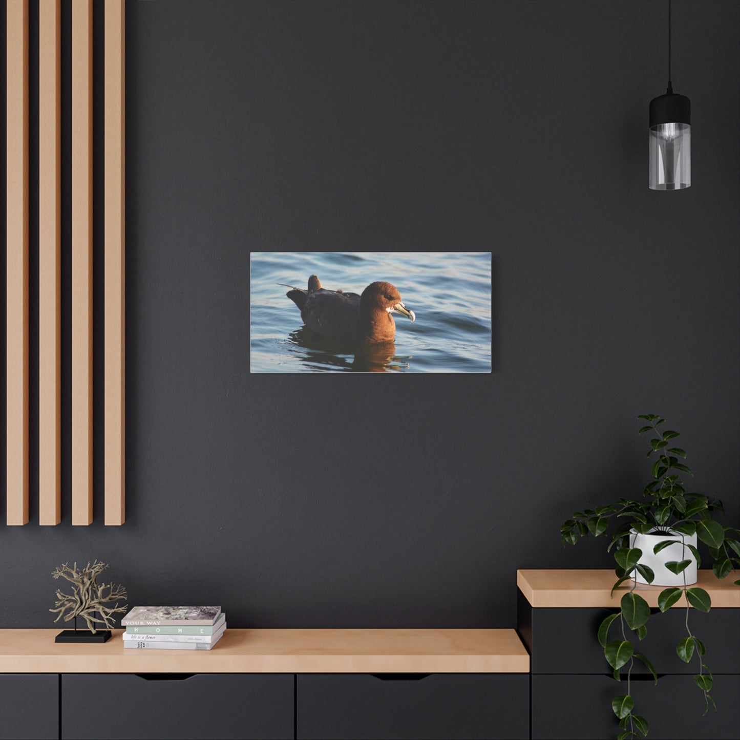 Bird Art Wall Decor, Coastal Wall Art, Ocean Decor, Nature Photography, Sea Bird Print
