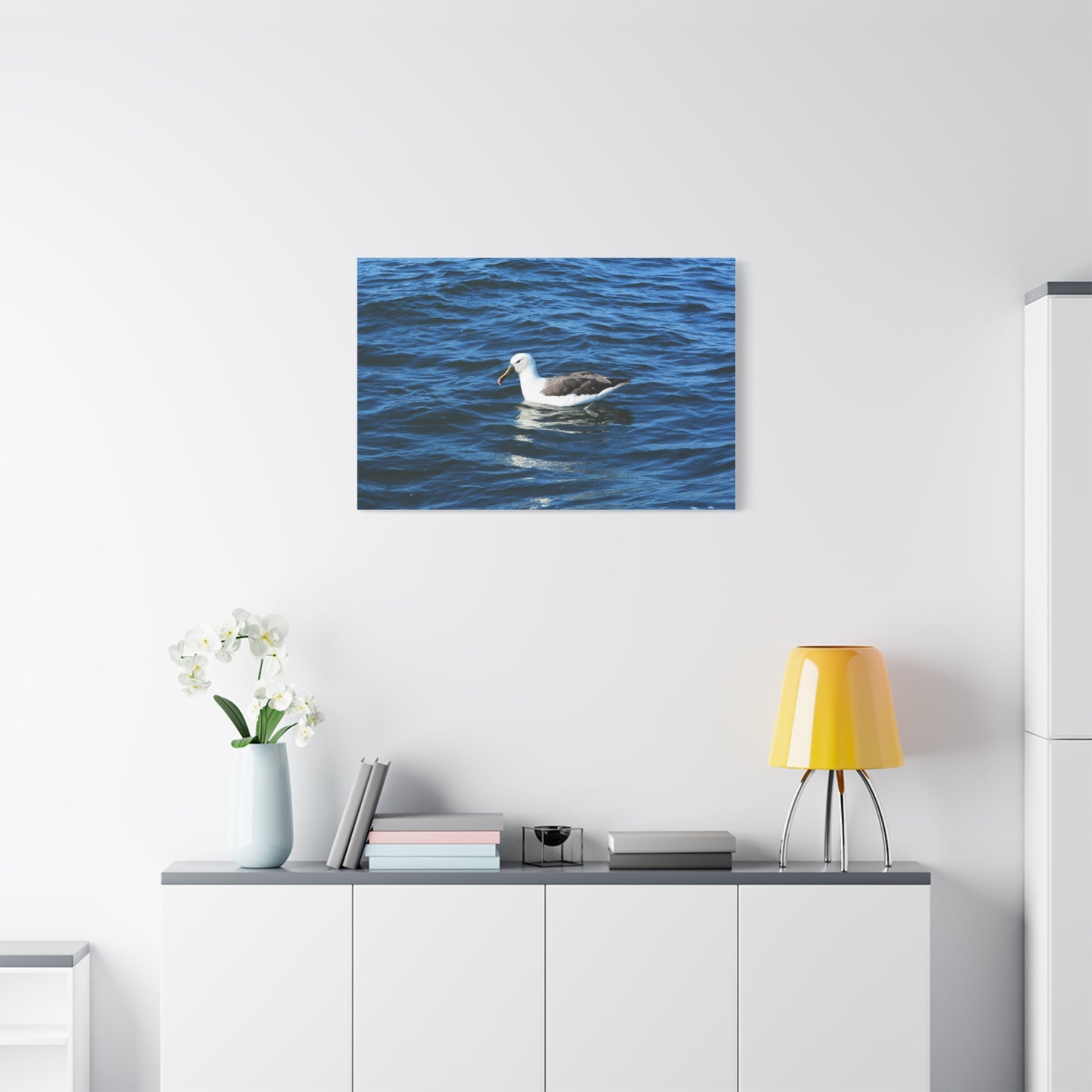 Albatross Canvas Print Sea Bird