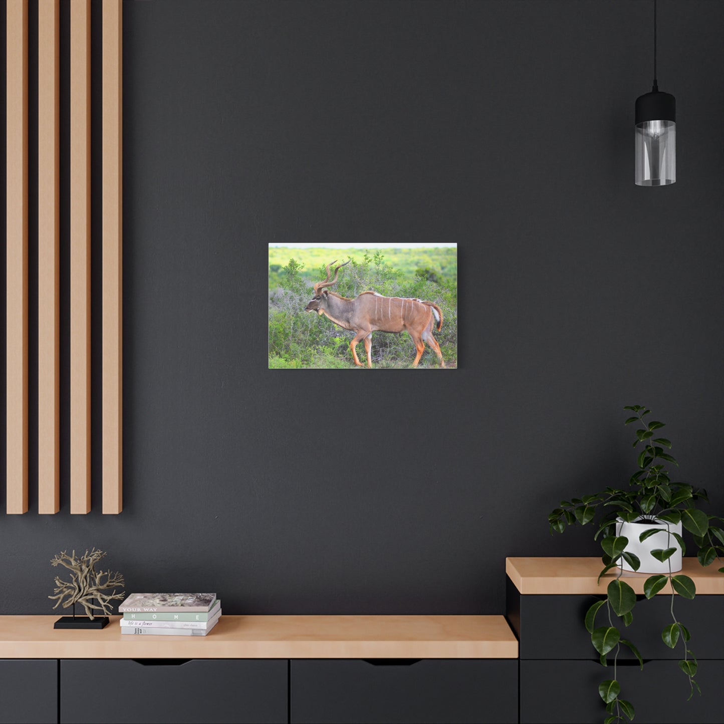 Africa Kudu Bull - Canvas Print