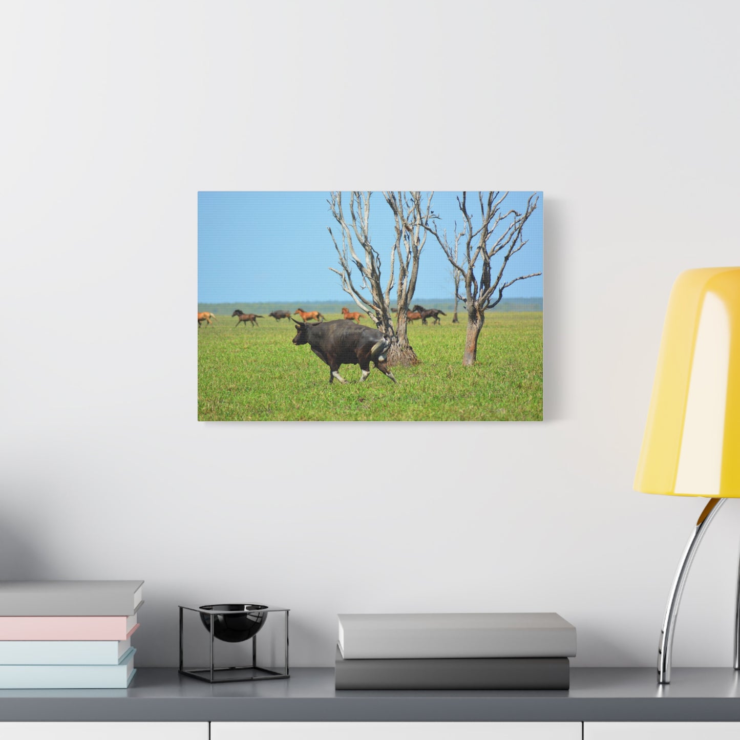 Australia Banteng - Canvas Print