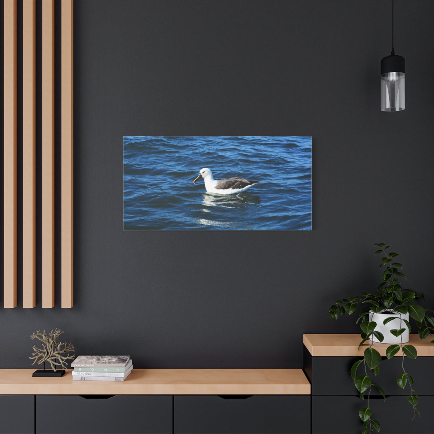 Albatross Canvas Print Sea Bird