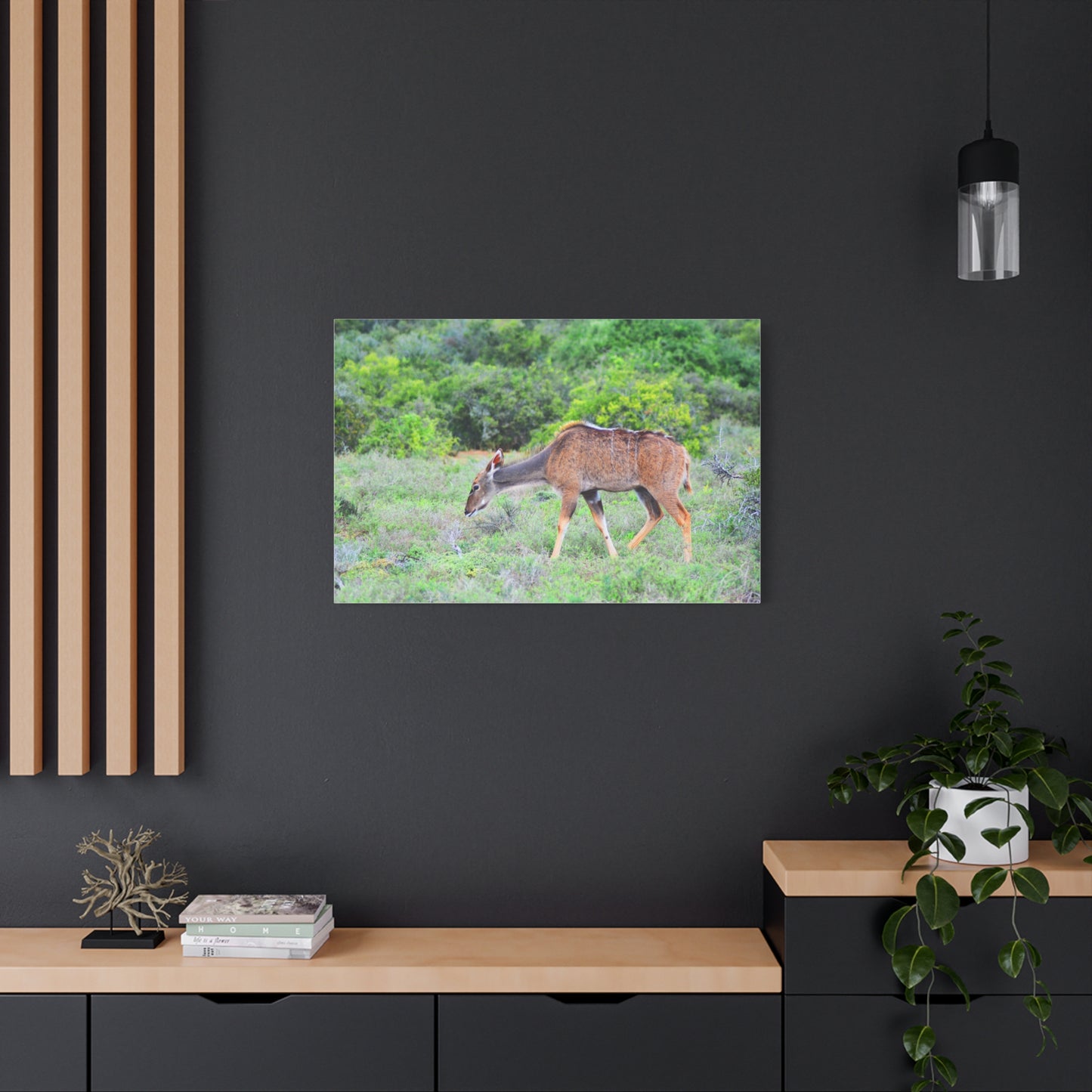 Africa Kudu Cow - Canvas Print