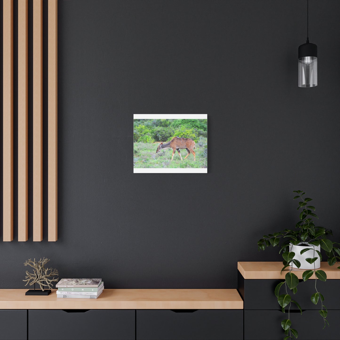 Africa Kudu Cow - Canvas Print