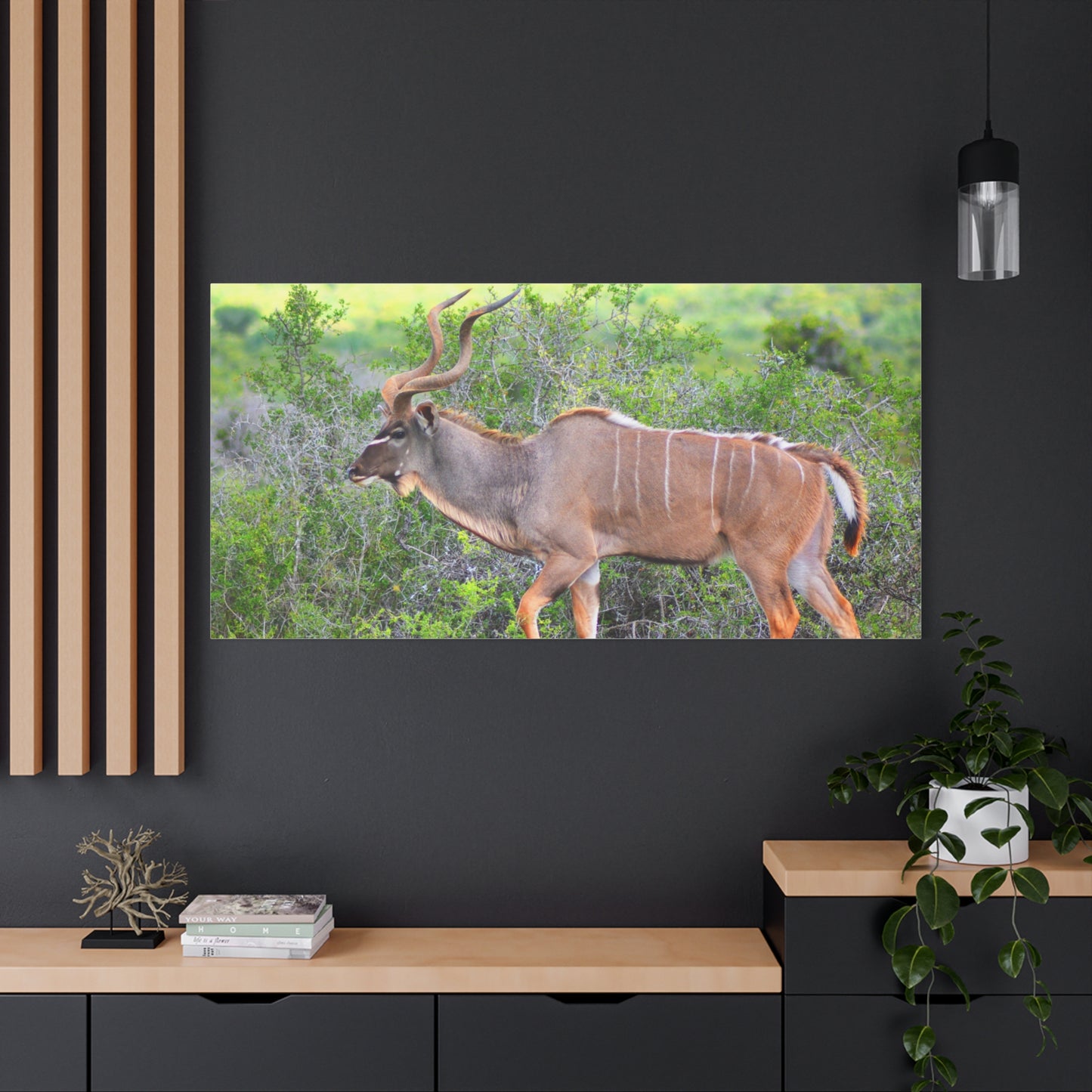 Africa Kudu Bull - Canvas Print