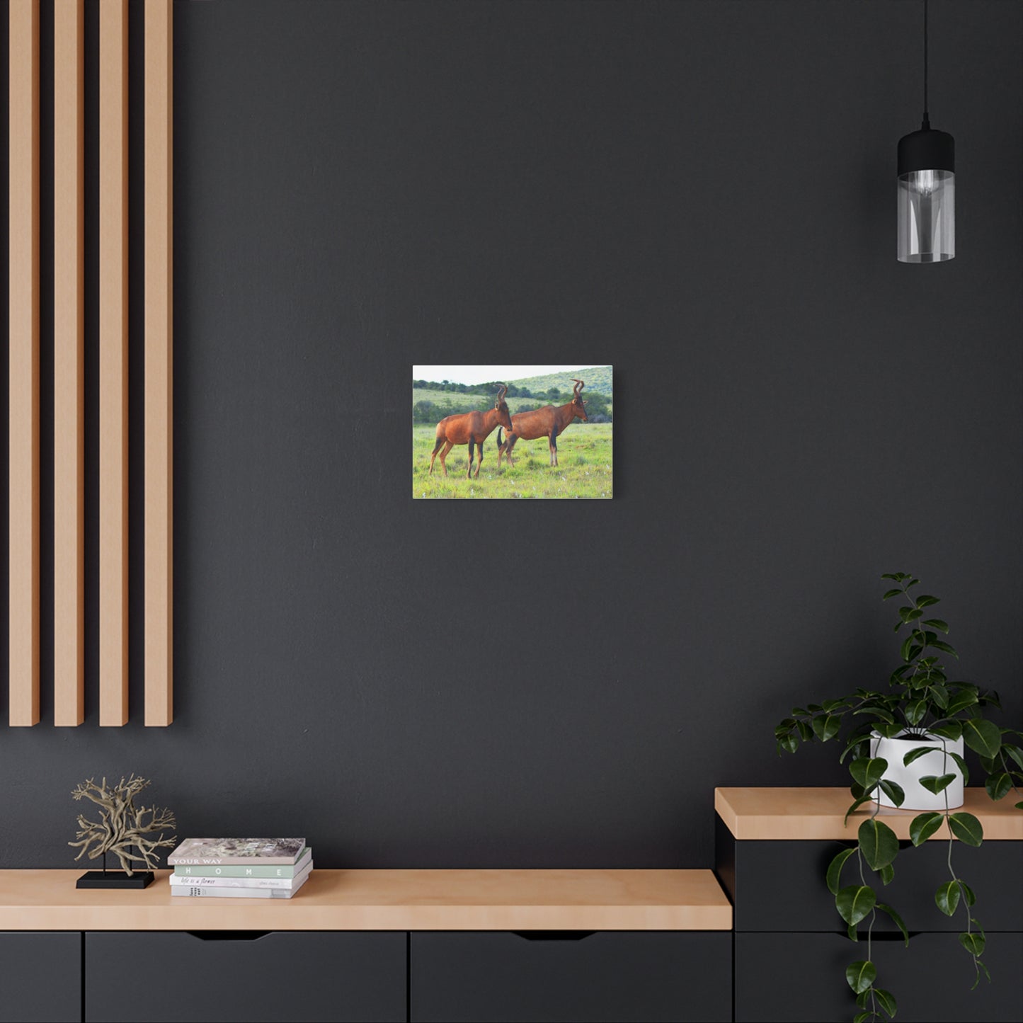 African Red Hartebeest - Canvas Print