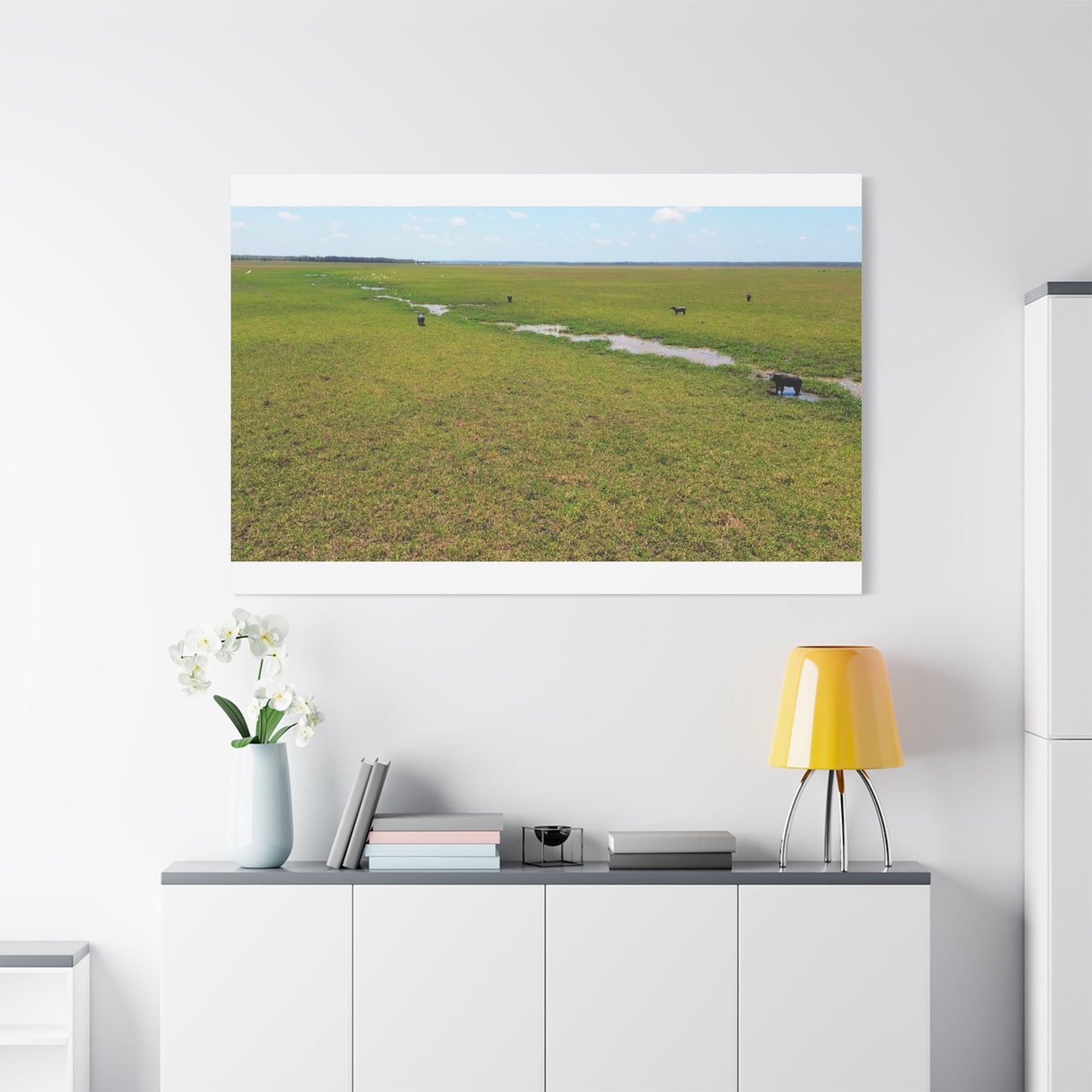 Asiatic Water Buffalo Australian Outback - Canvas Print