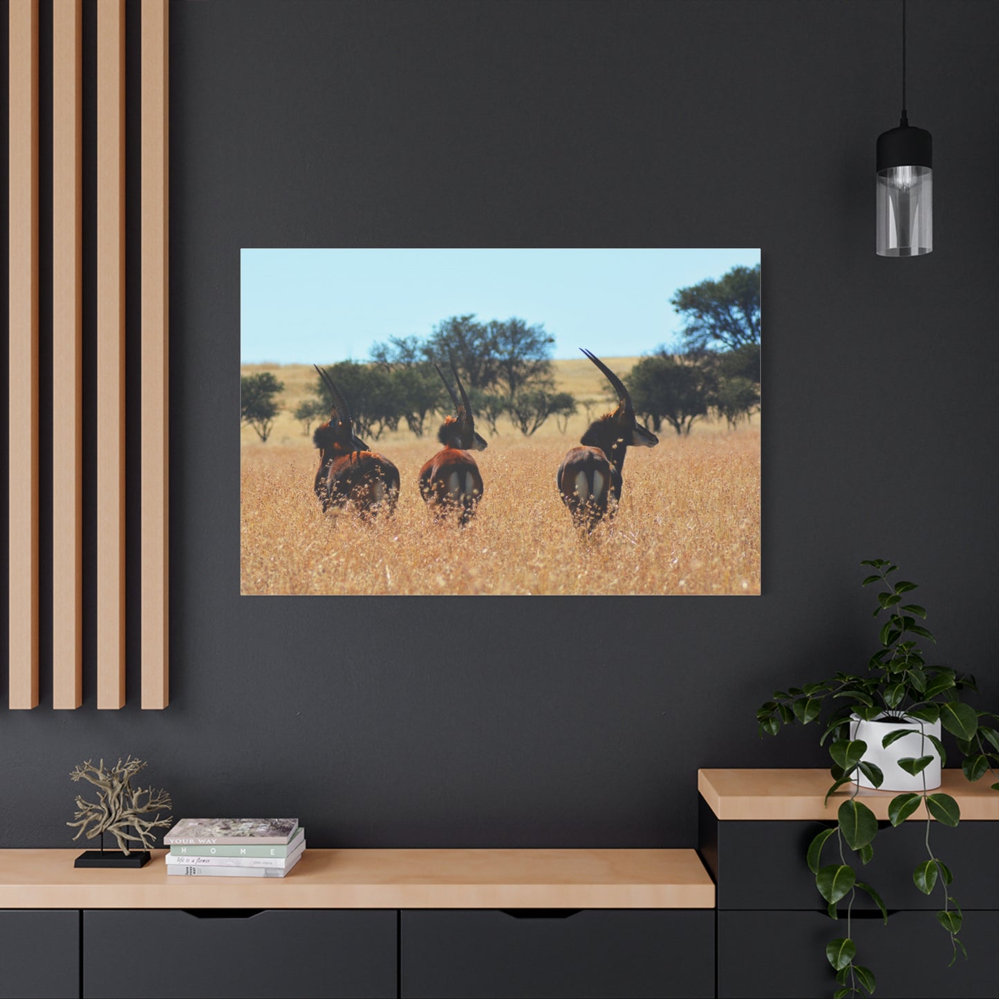 Sable Trio in Africa Canvas Print
