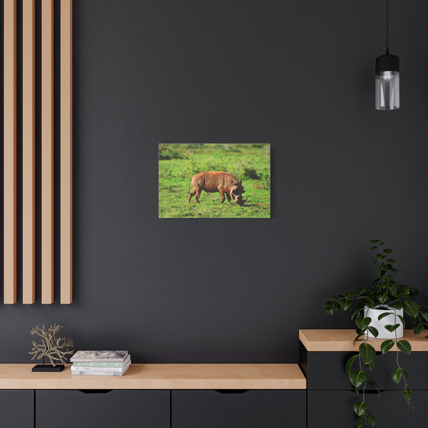 African Warthog - Canvas Print