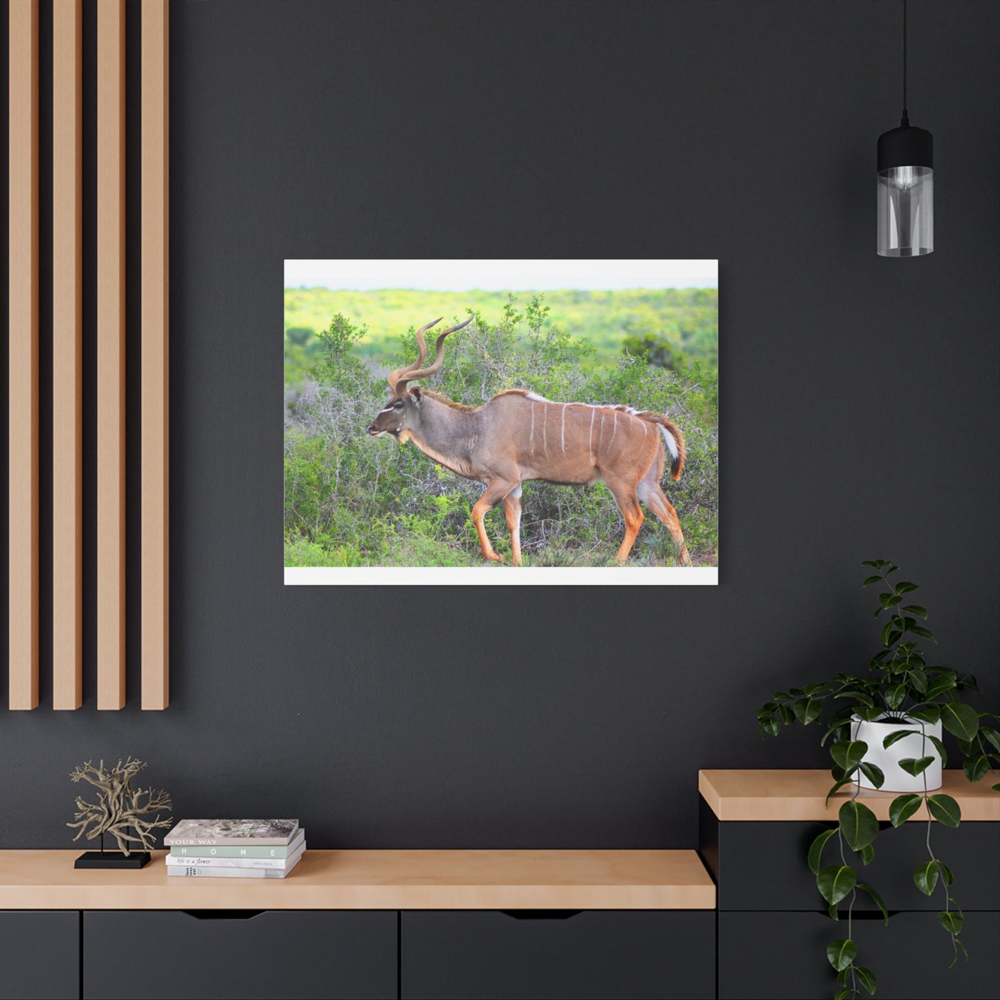 Africa Kudu Bull - Canvas Print