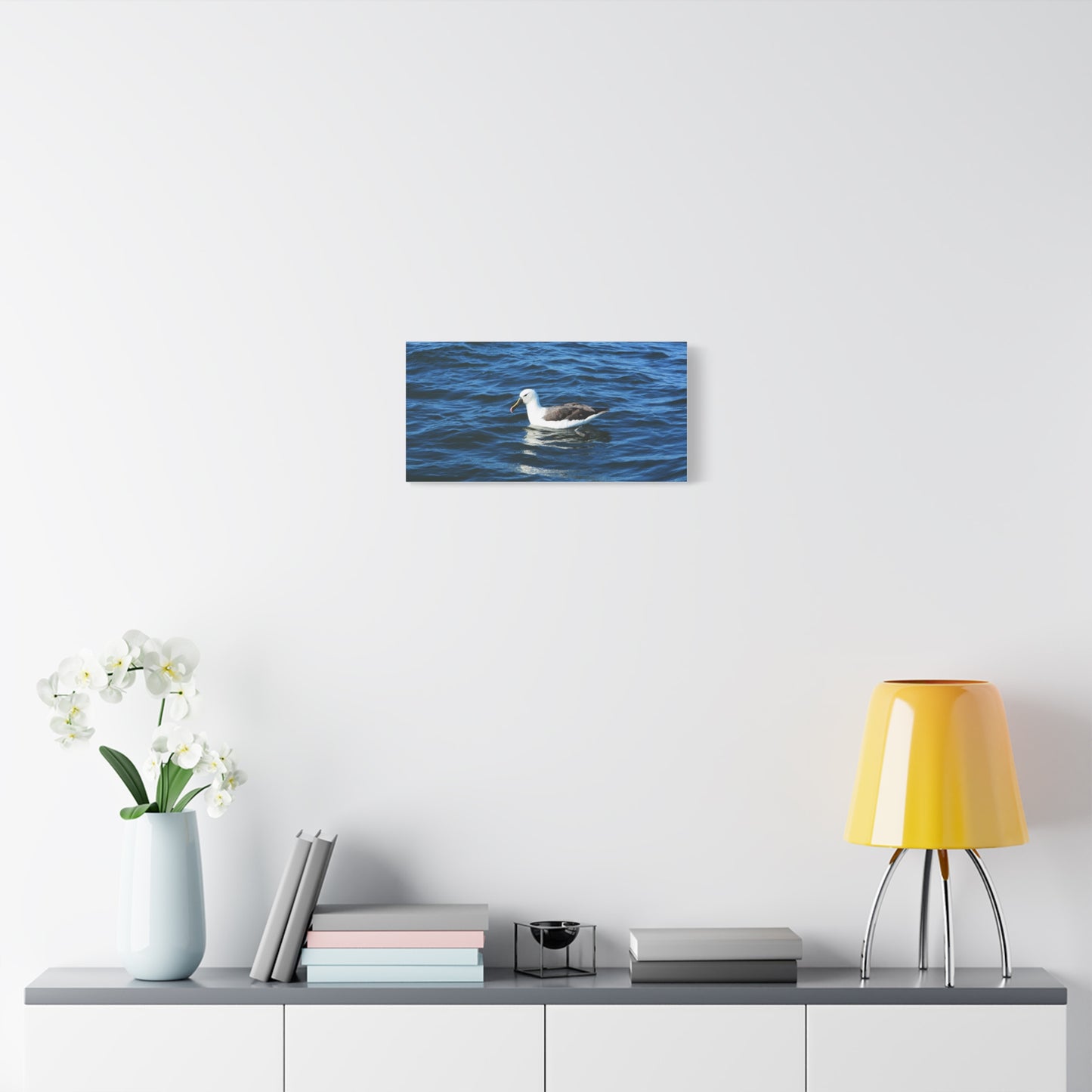 Albatross Canvas Print Sea Bird