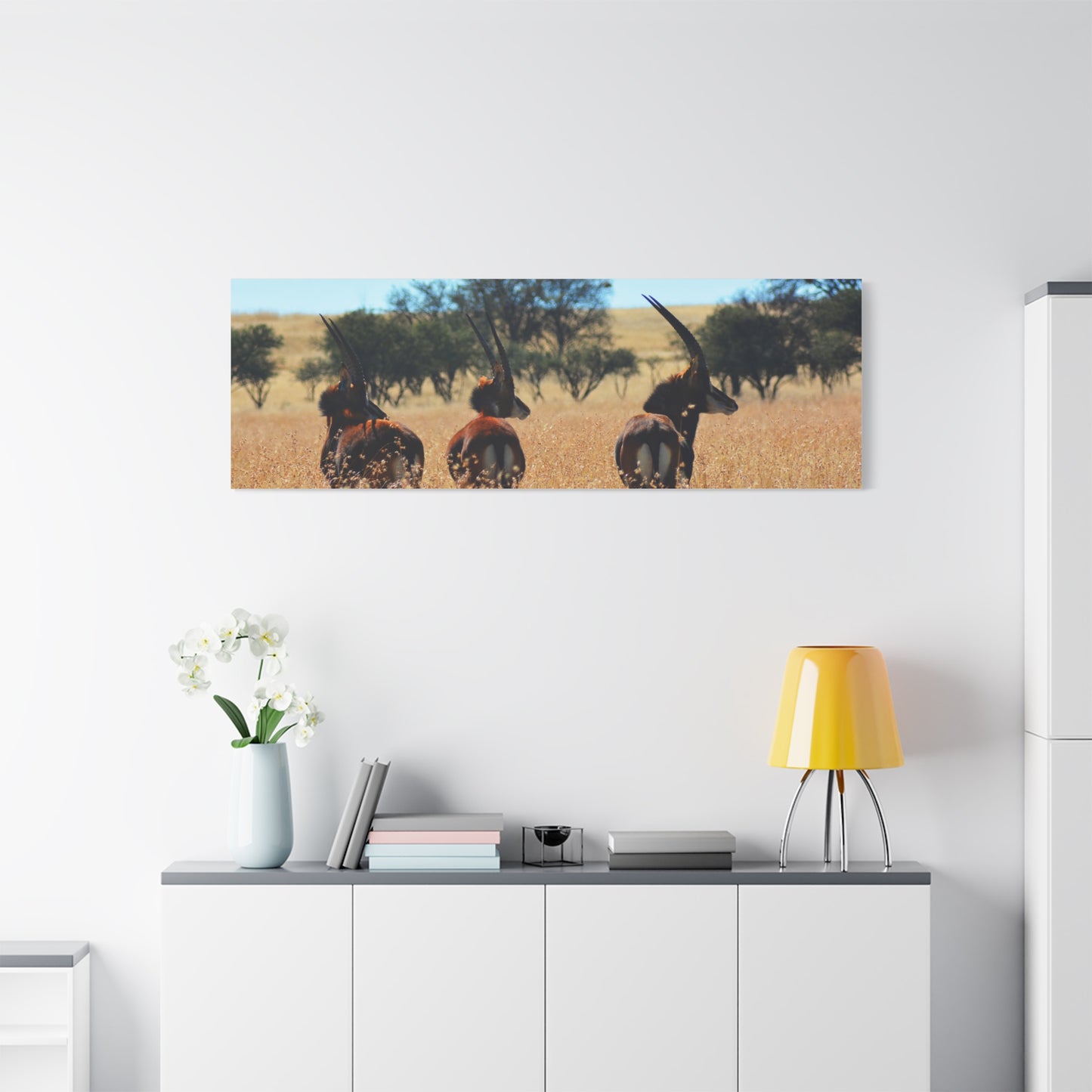Sable Trio in Africa Canvas Print