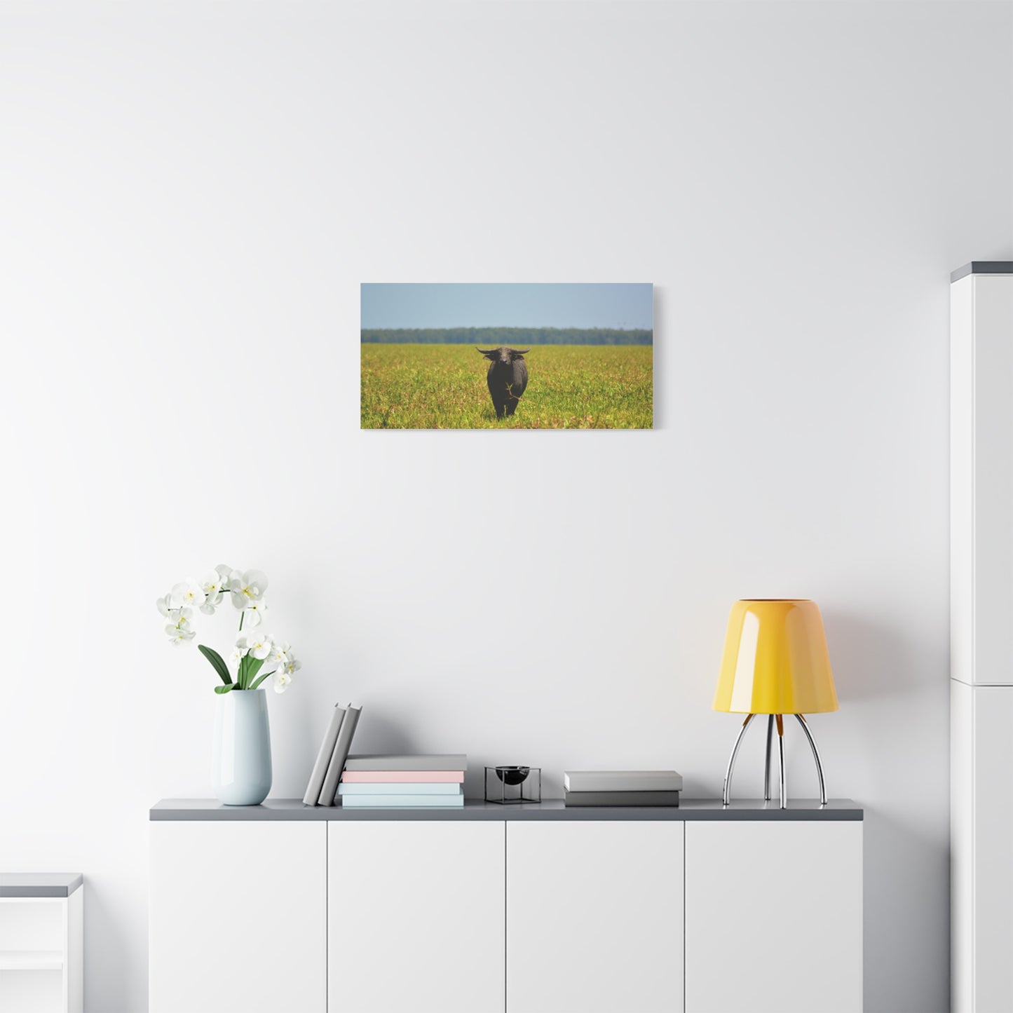 Asiatic Water Buffalo Australian Outback - Canvas Print