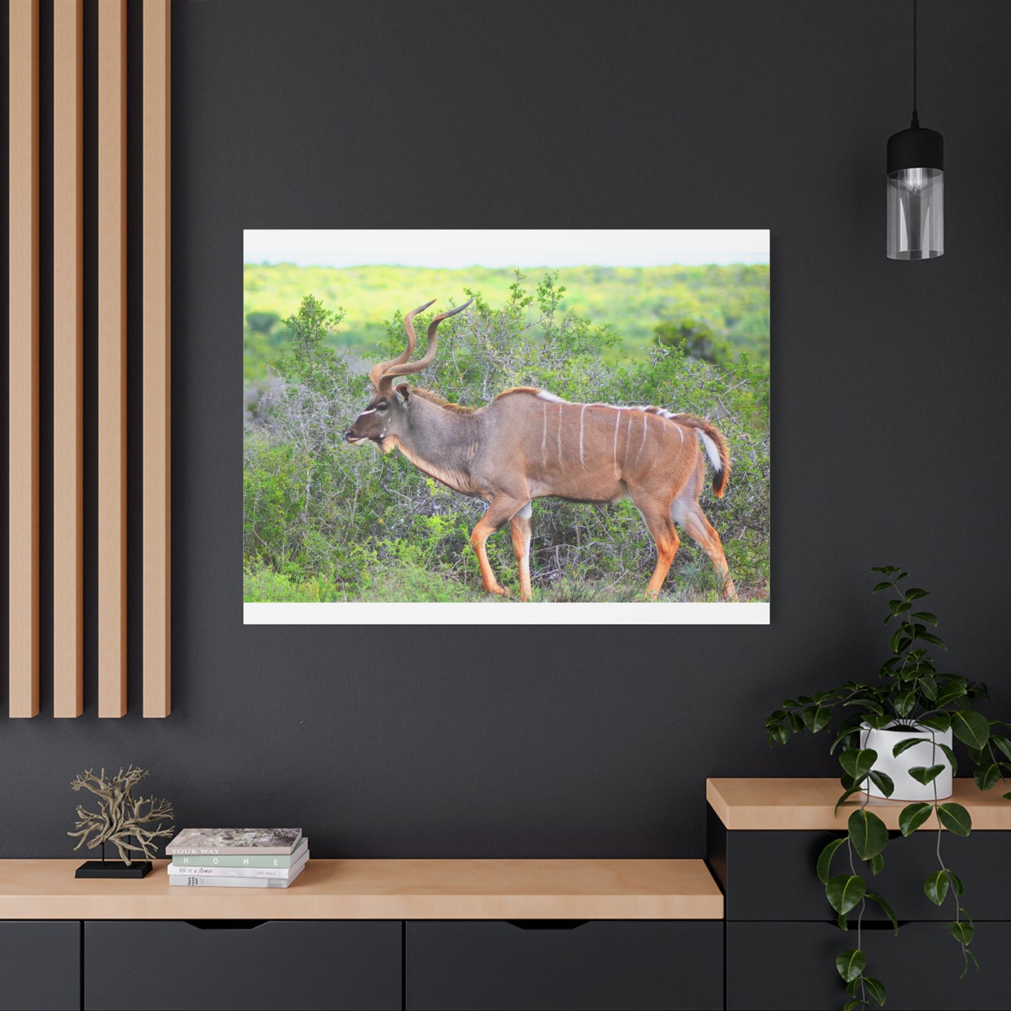 Africa Kudu Bull - Canvas Print