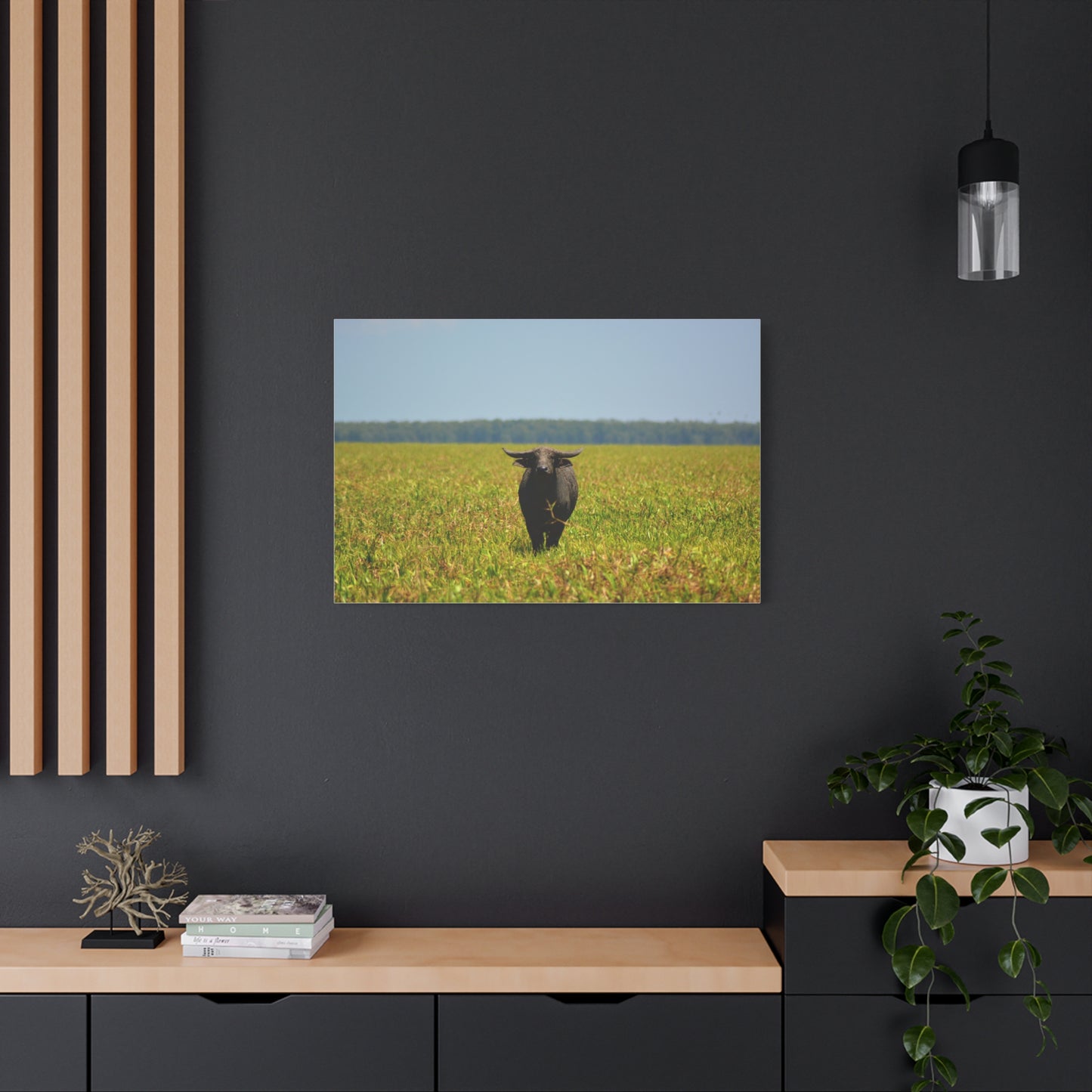 Asiatic Water Buffalo Australian Outback - Canvas Print