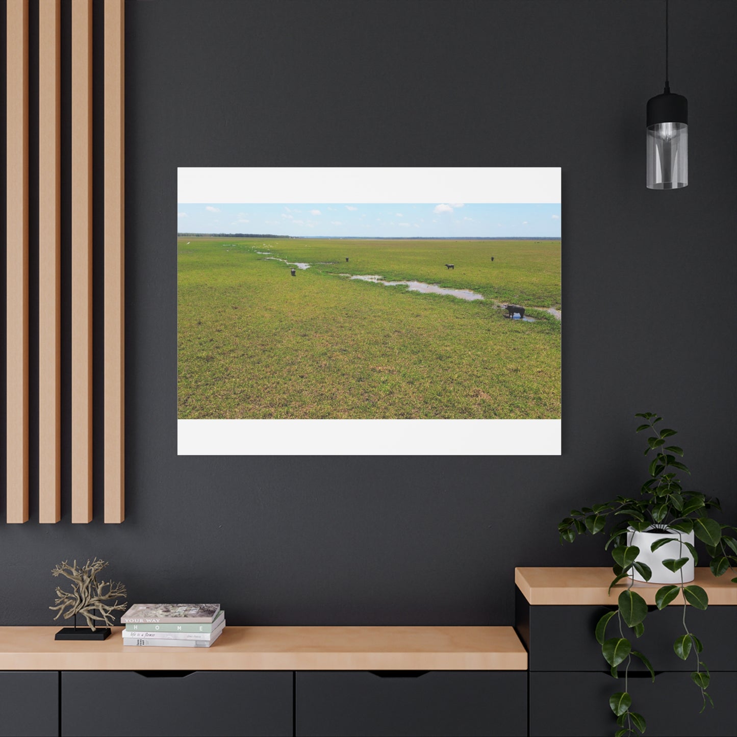 Asiatic Water Buffalo Australian Outback - Canvas Print
