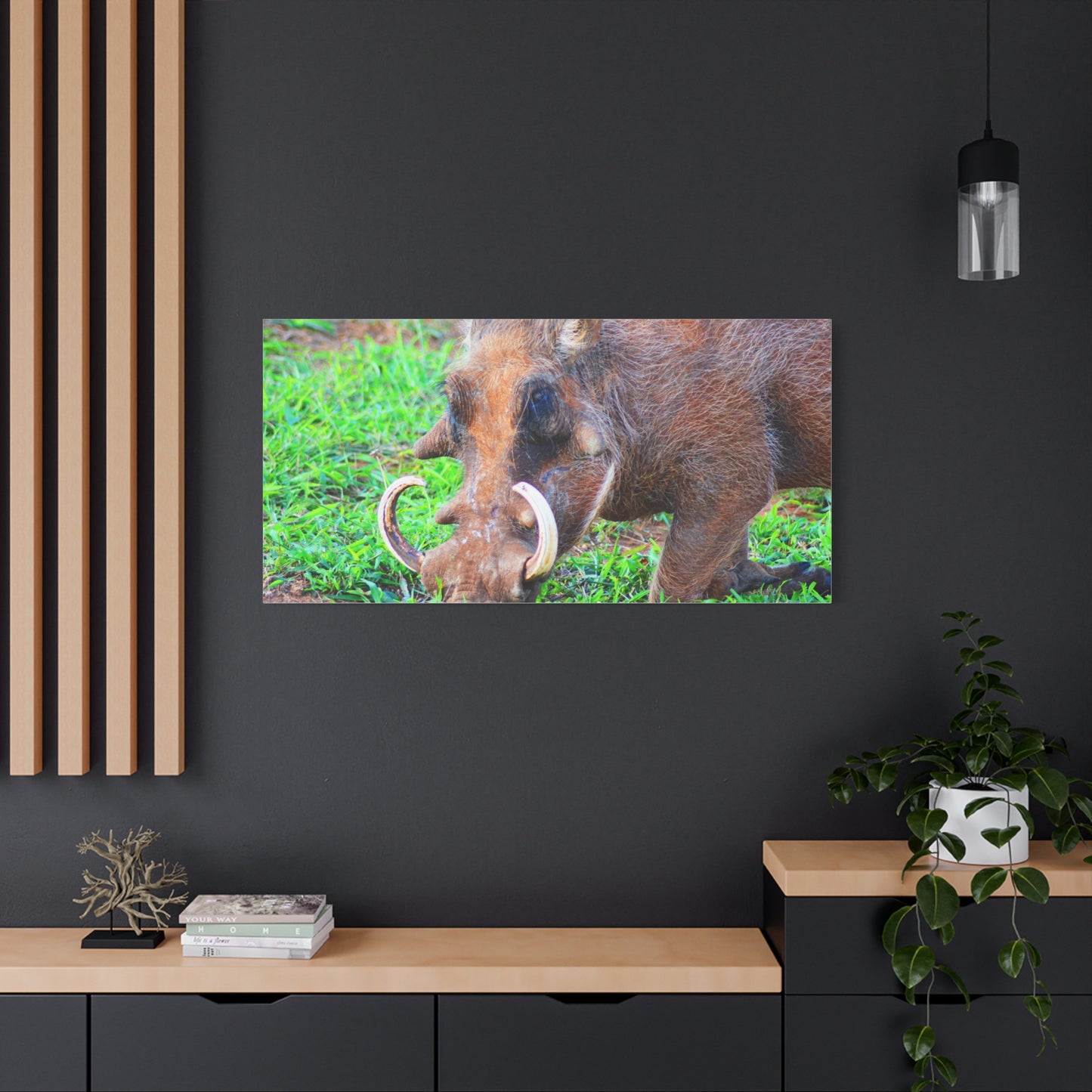African Warthog Eating - Canvas Print