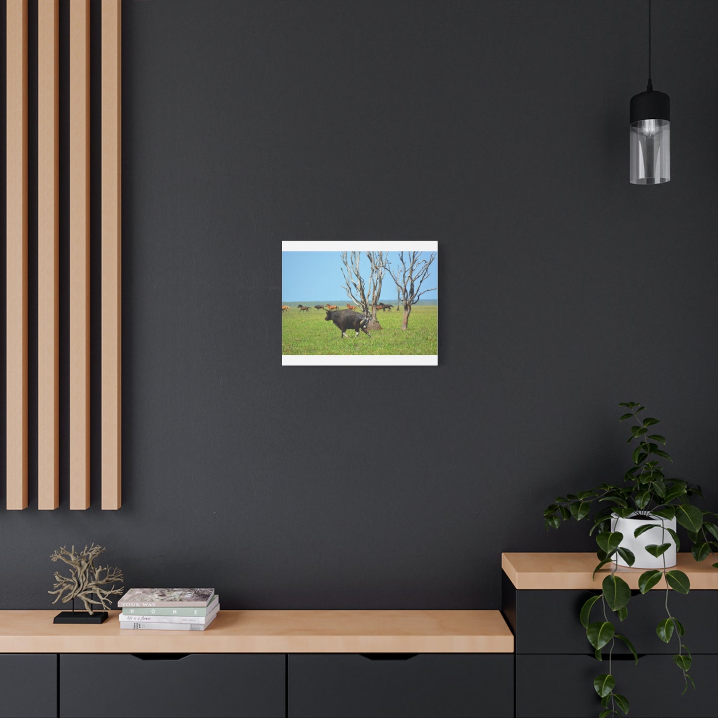 Australia Banteng - Canvas Print