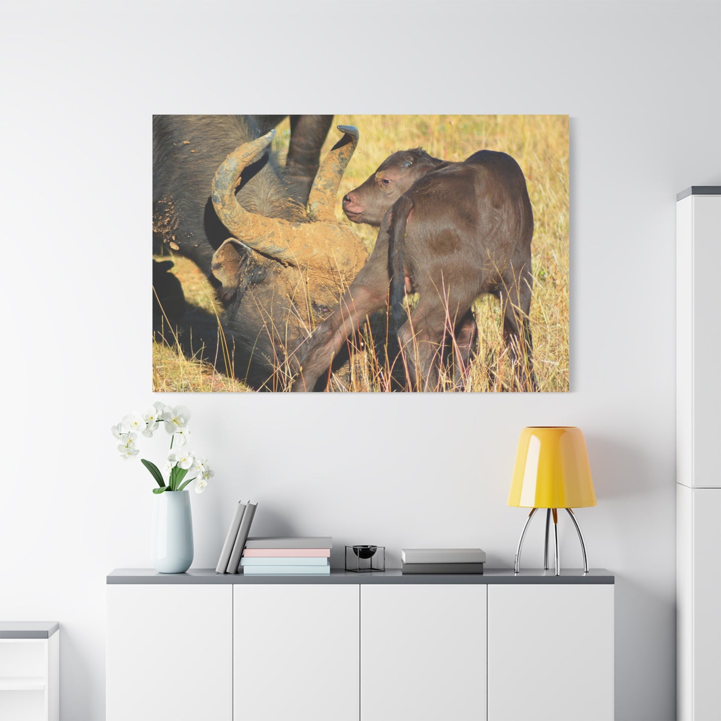 Cape Buffalo Tends to Calf