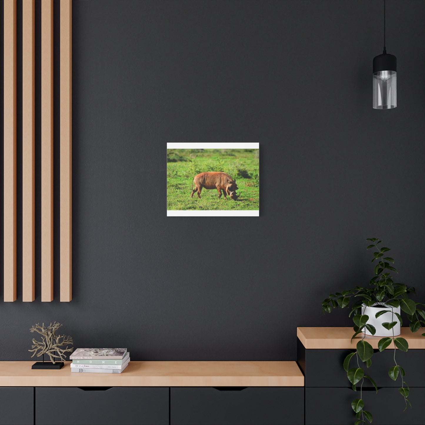 African Warthog - Canvas Print