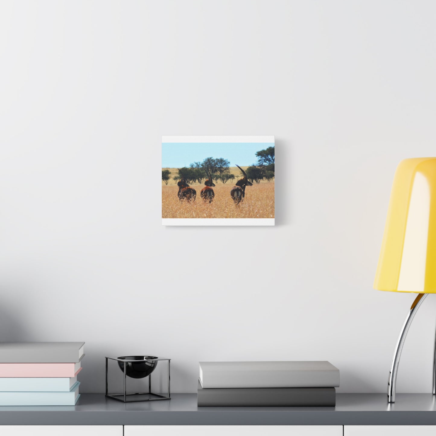 Sable Trio in Africa Canvas Print