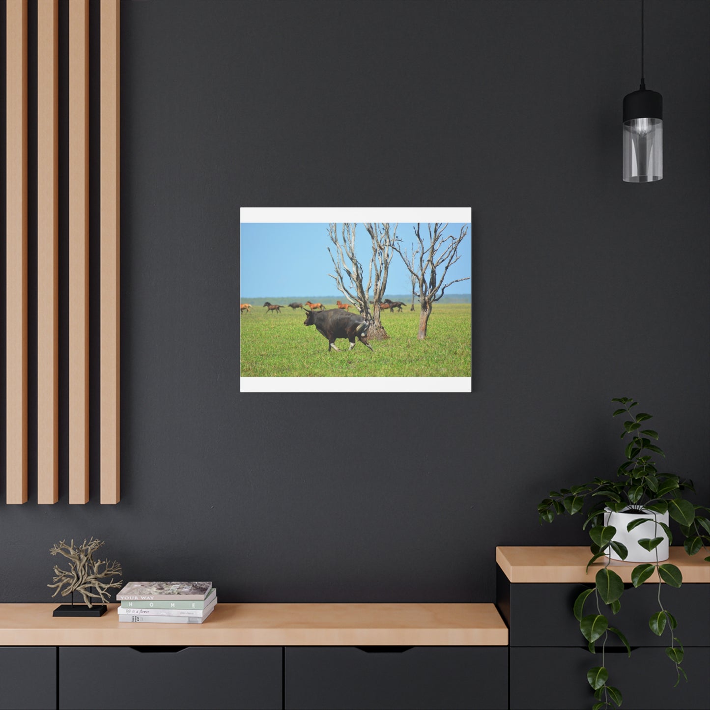 Australia Banteng - Canvas Print